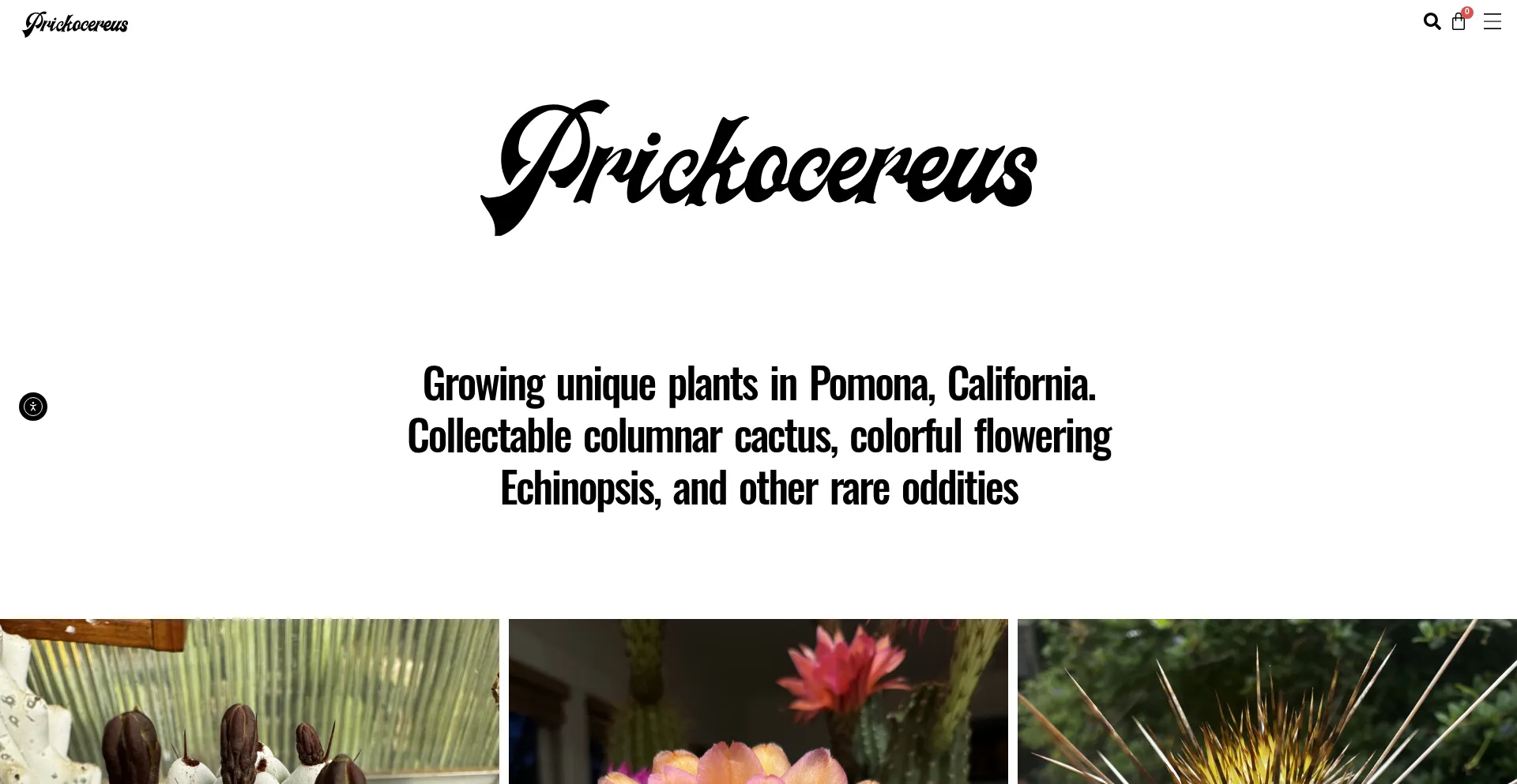Prickocereus.com