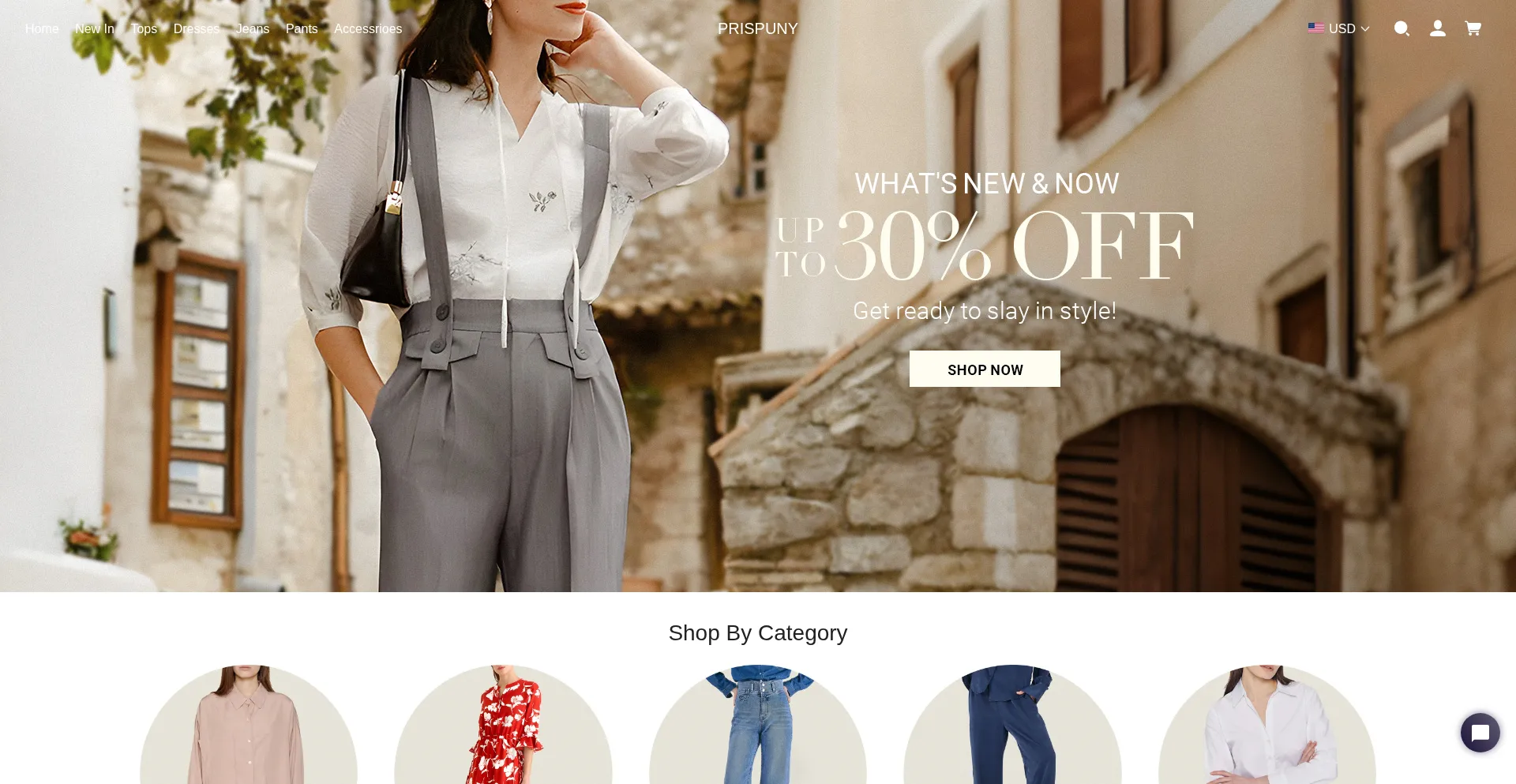 Website screenshot of Prispuny.com