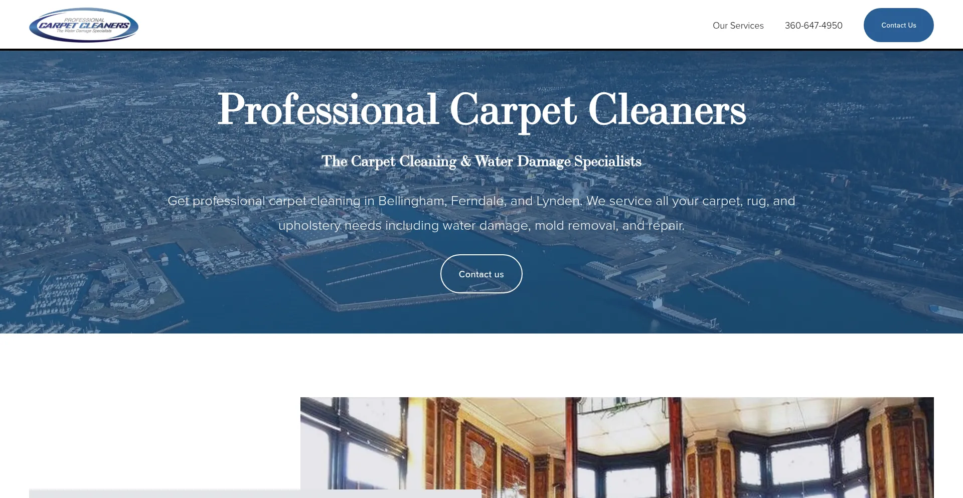 Website screenshot of Pro-carpet.net
