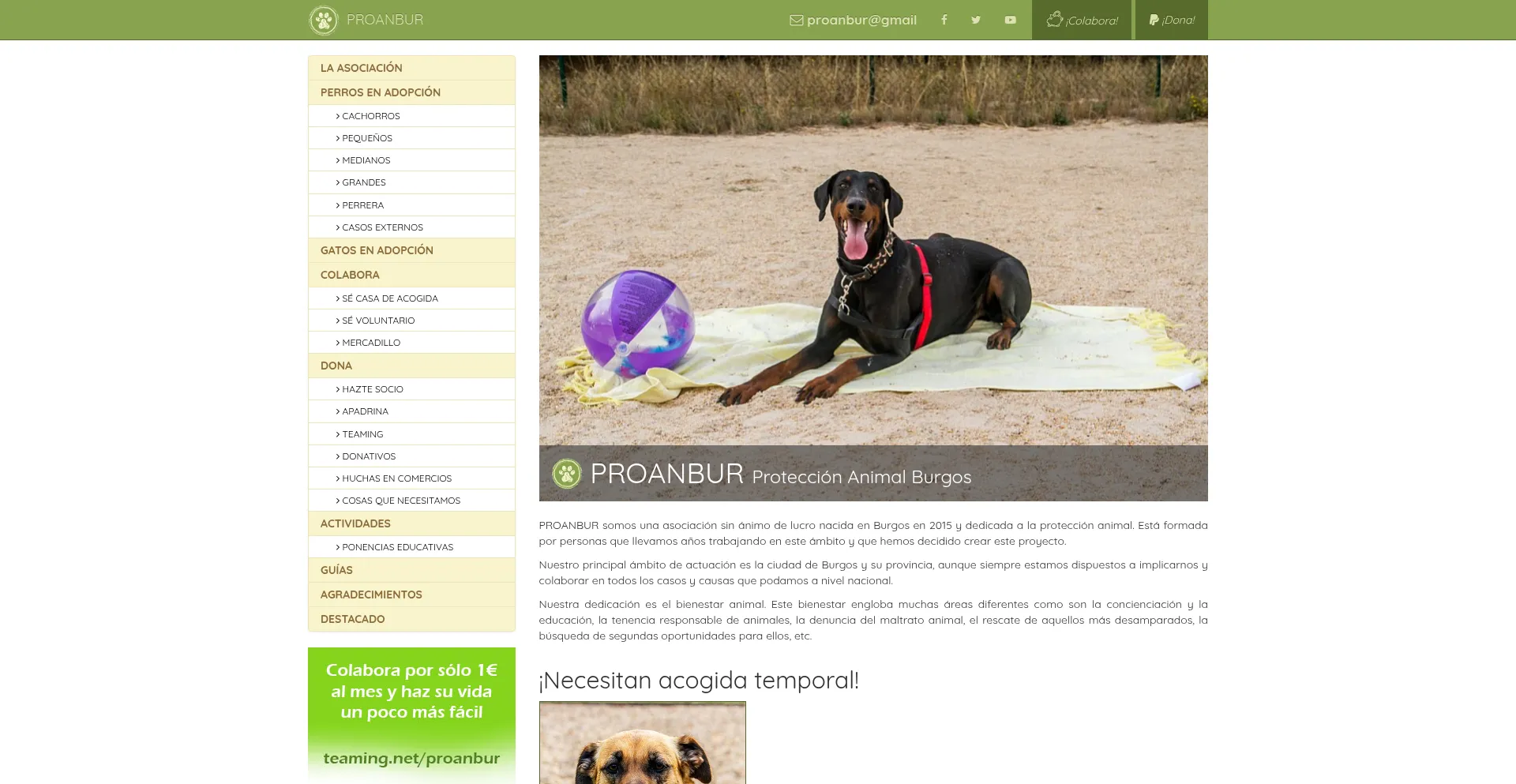 ¿És Seguro y Confiable Proanbur.com?