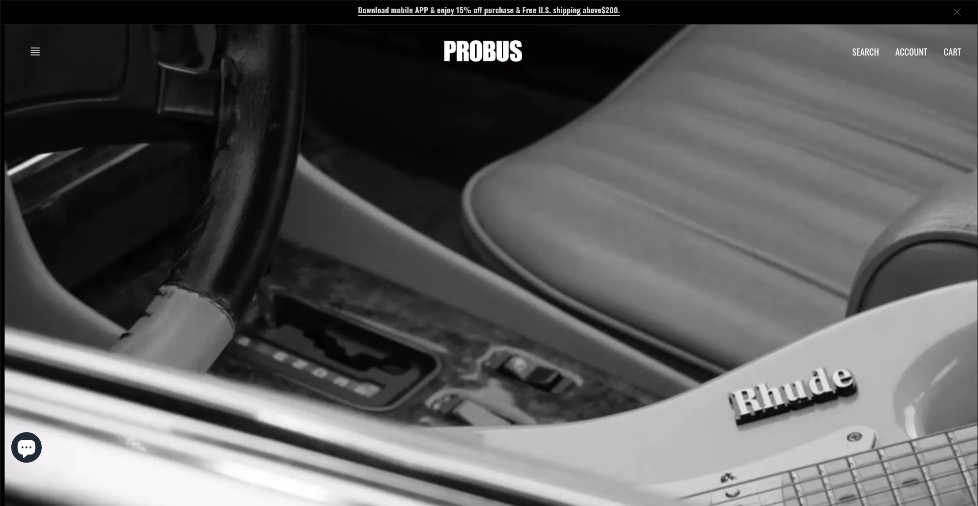 Website screenshot of Probus.nyc