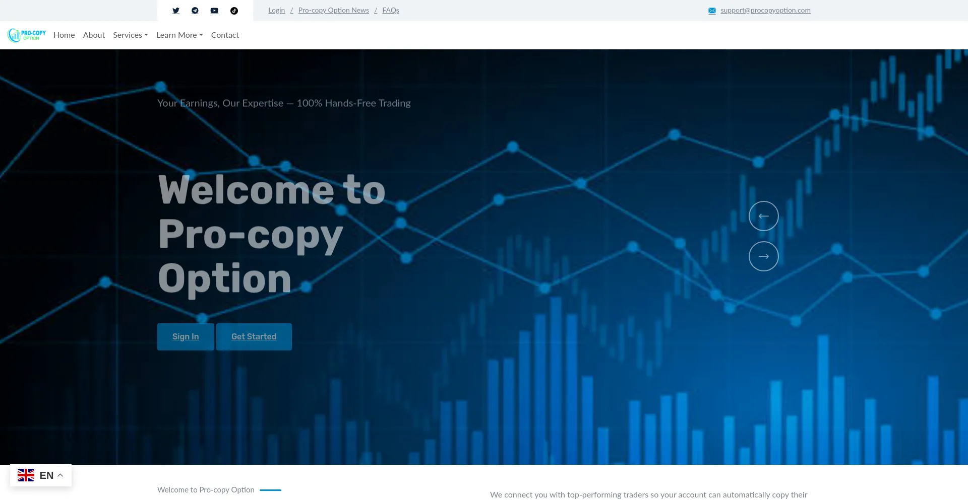 Website screenshot of Procopyoption.com