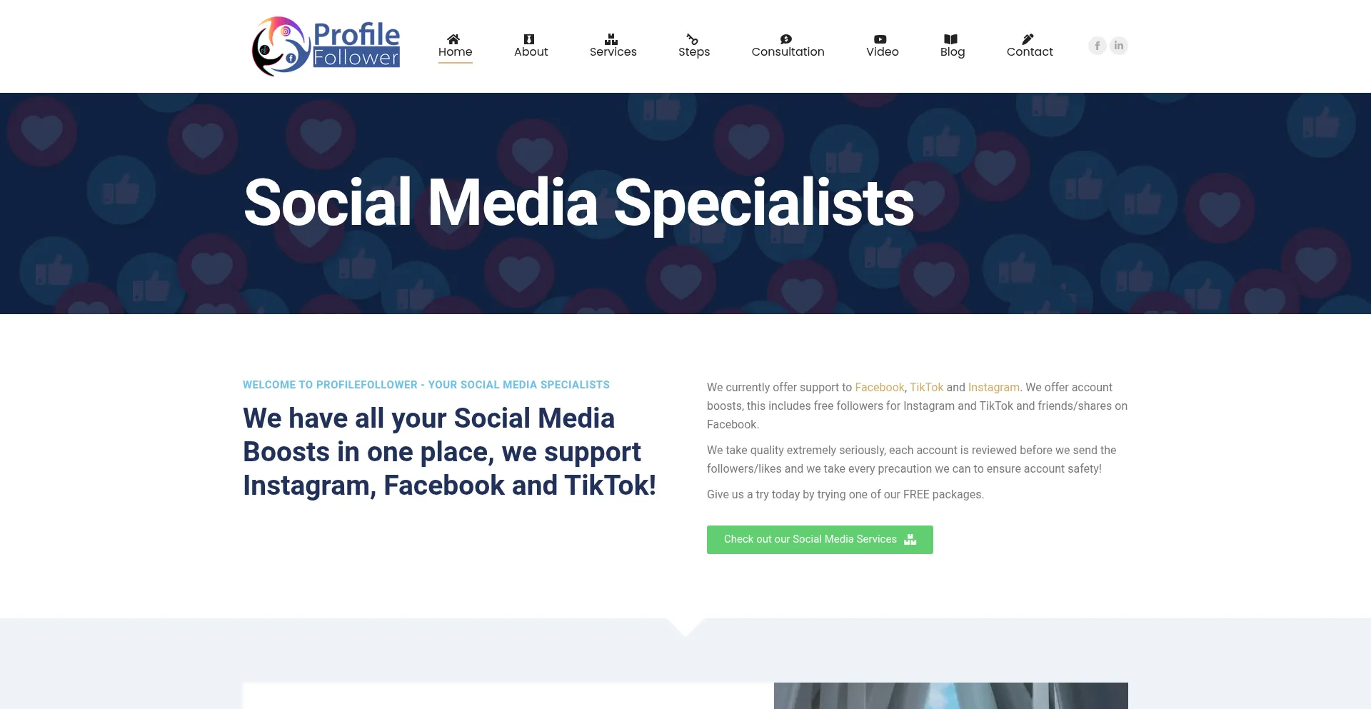 Website screenshot of Profilefollower.com