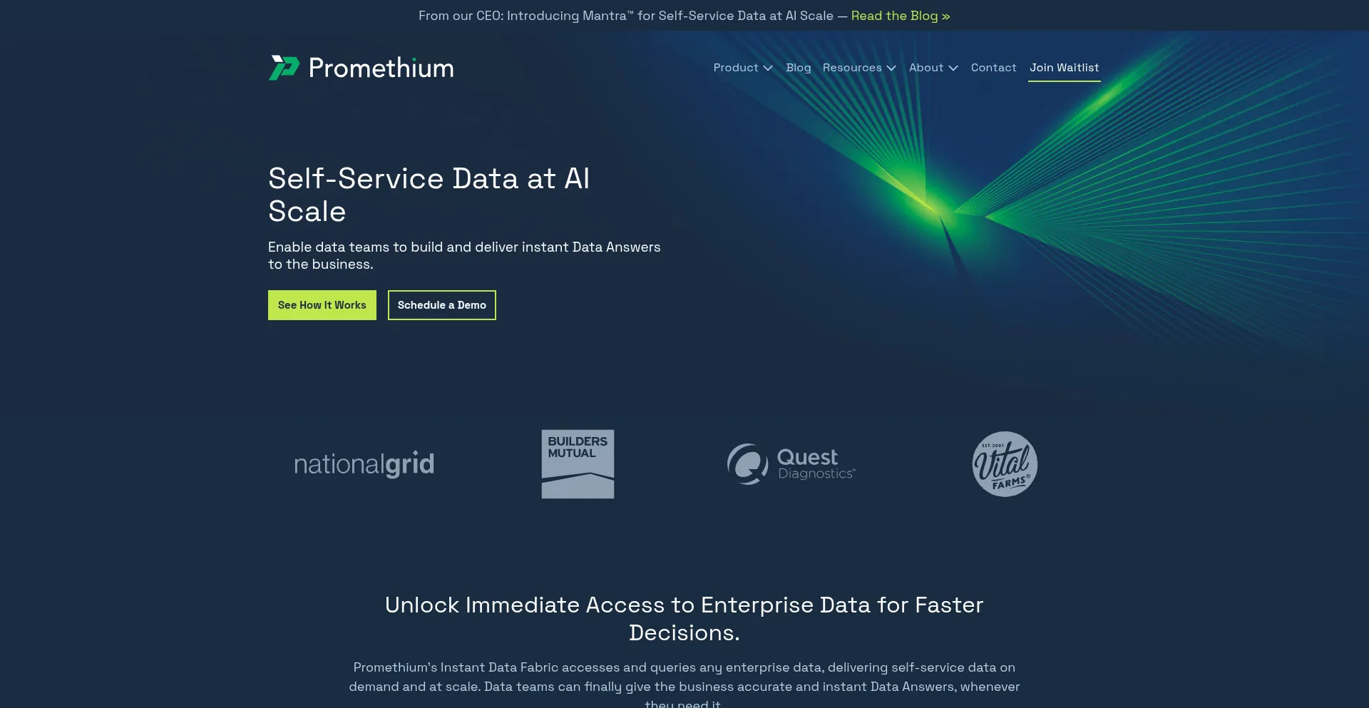 Website screenshot of Promethium.ai