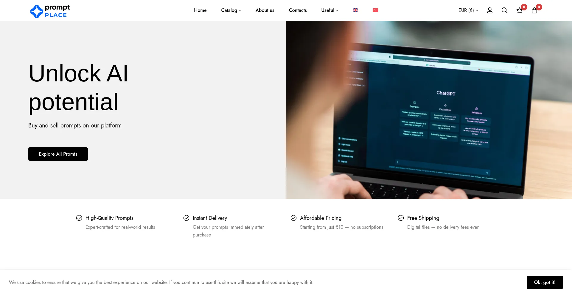 Website screenshot of Prompt-place.com