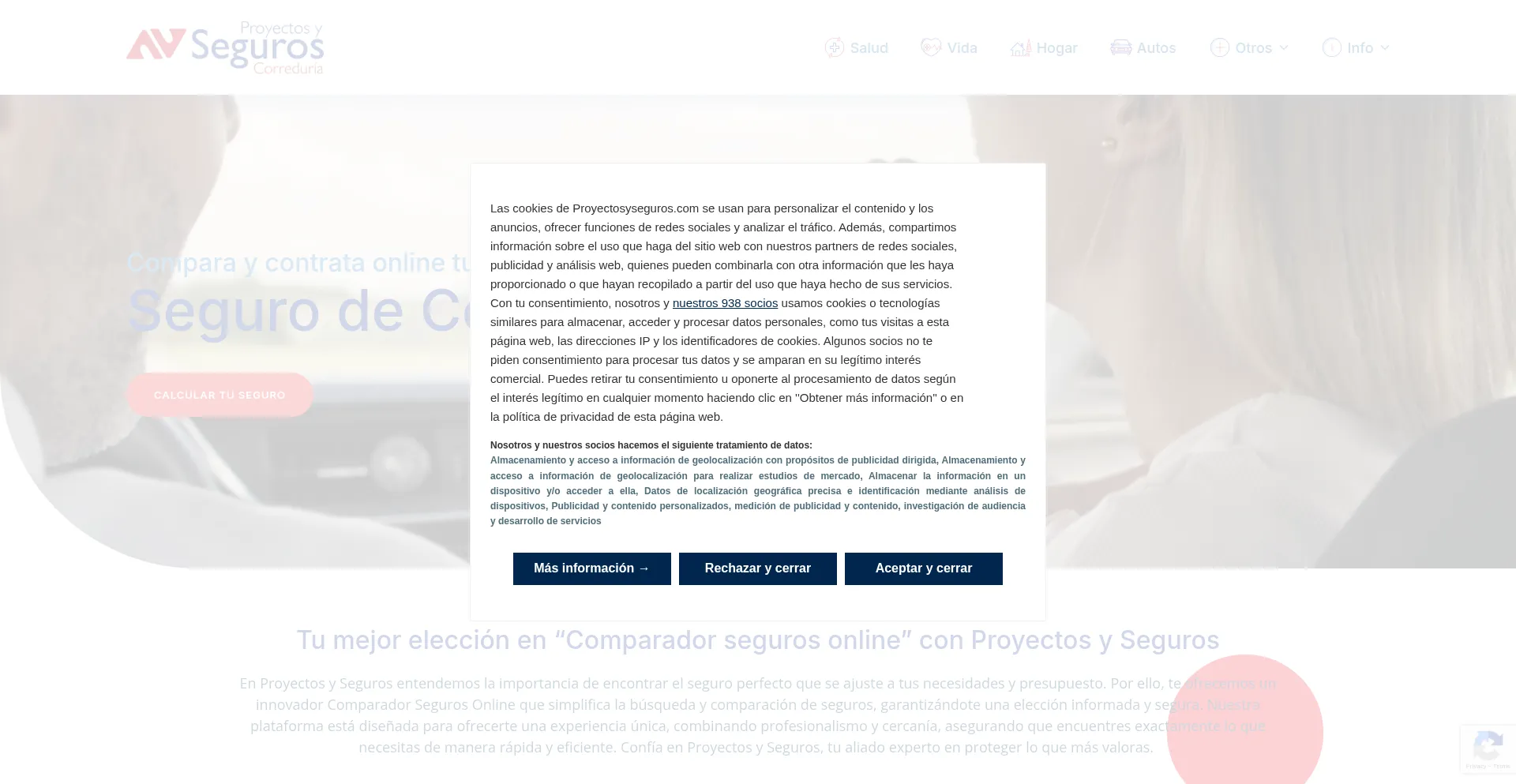 Proyectosyseguros.com Screenshot