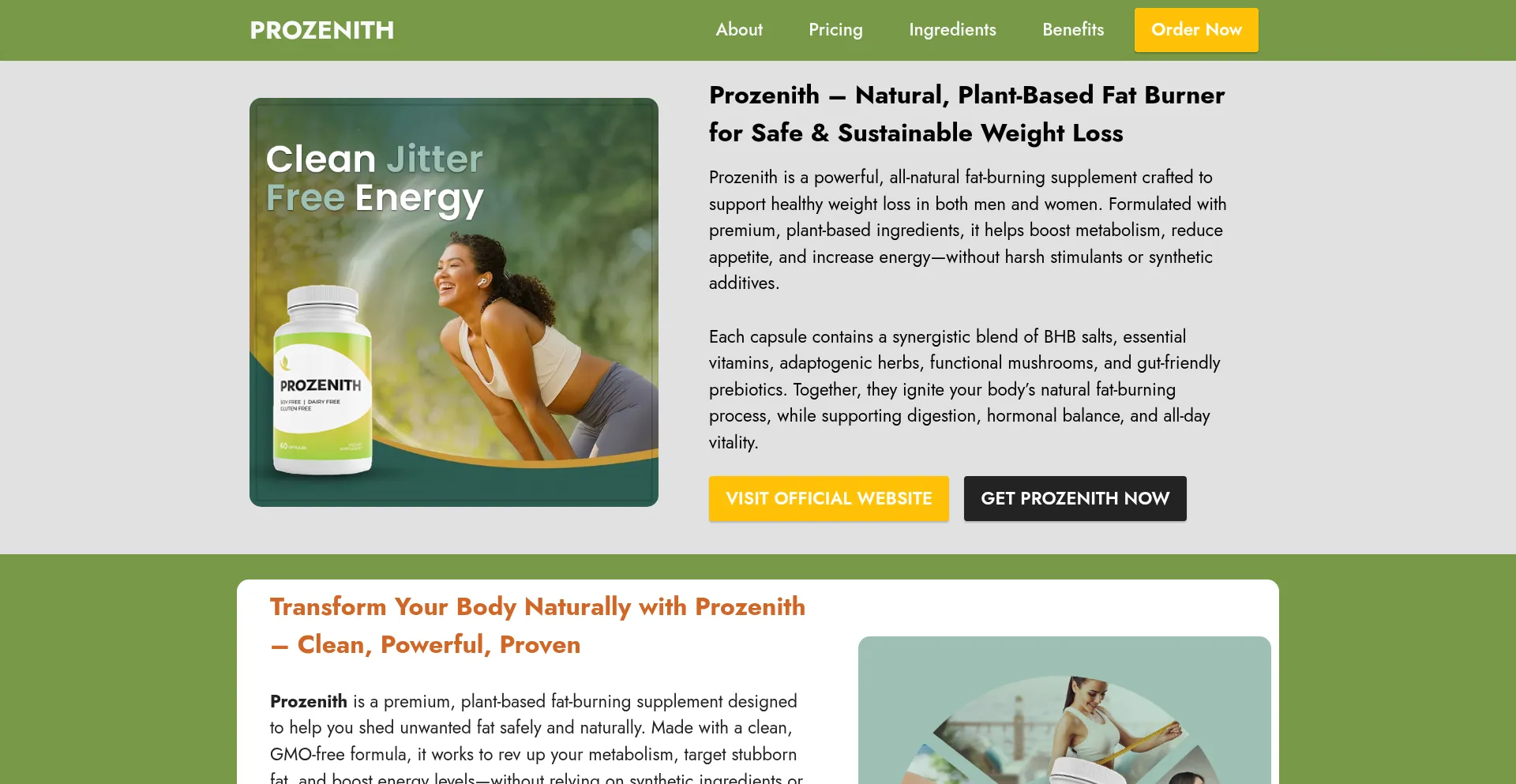 Website screenshot of Prozeniith.com