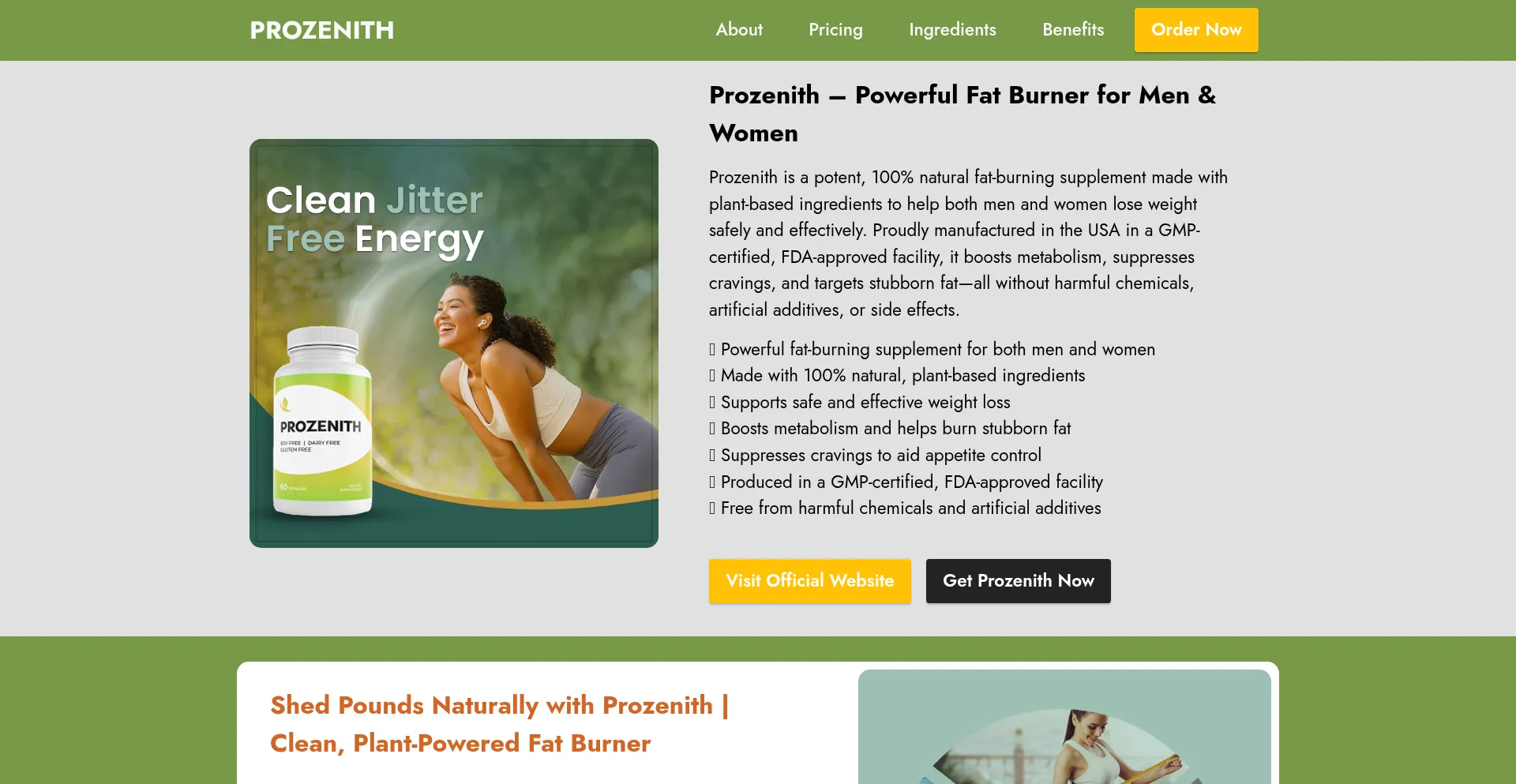 Website screenshot of Prrozenith.com