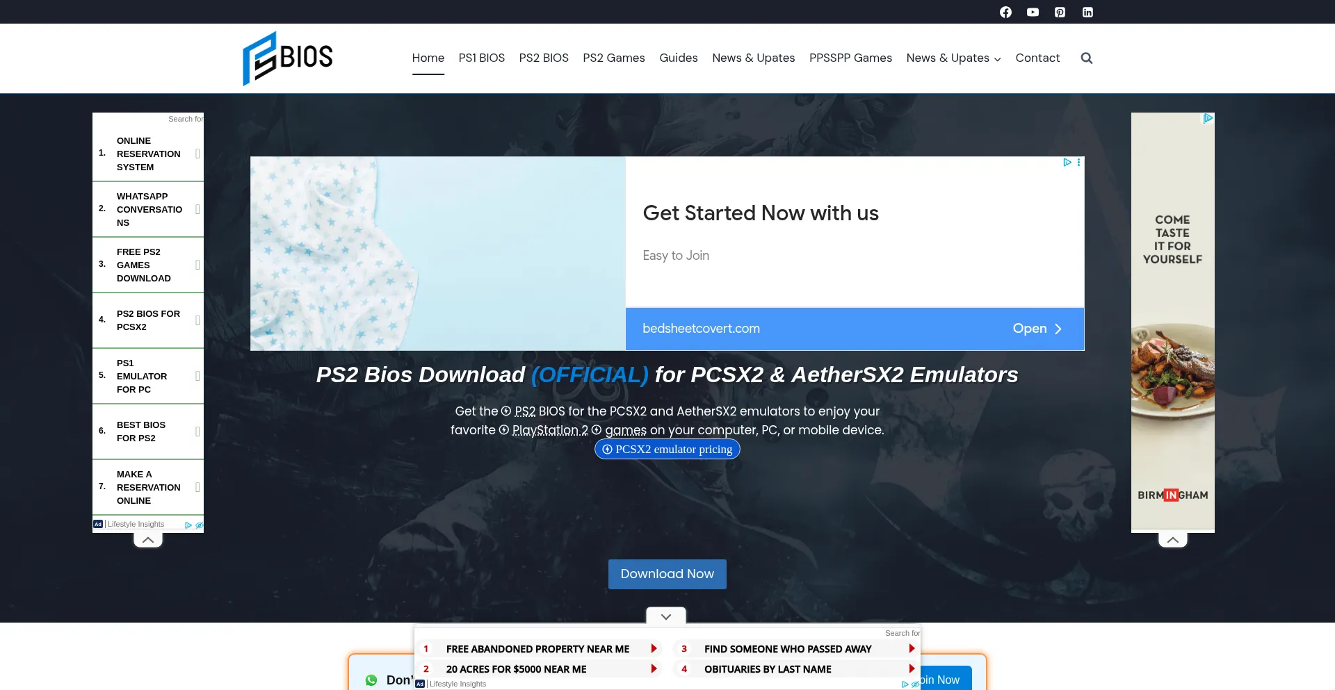 Website screenshot of Psbios.me