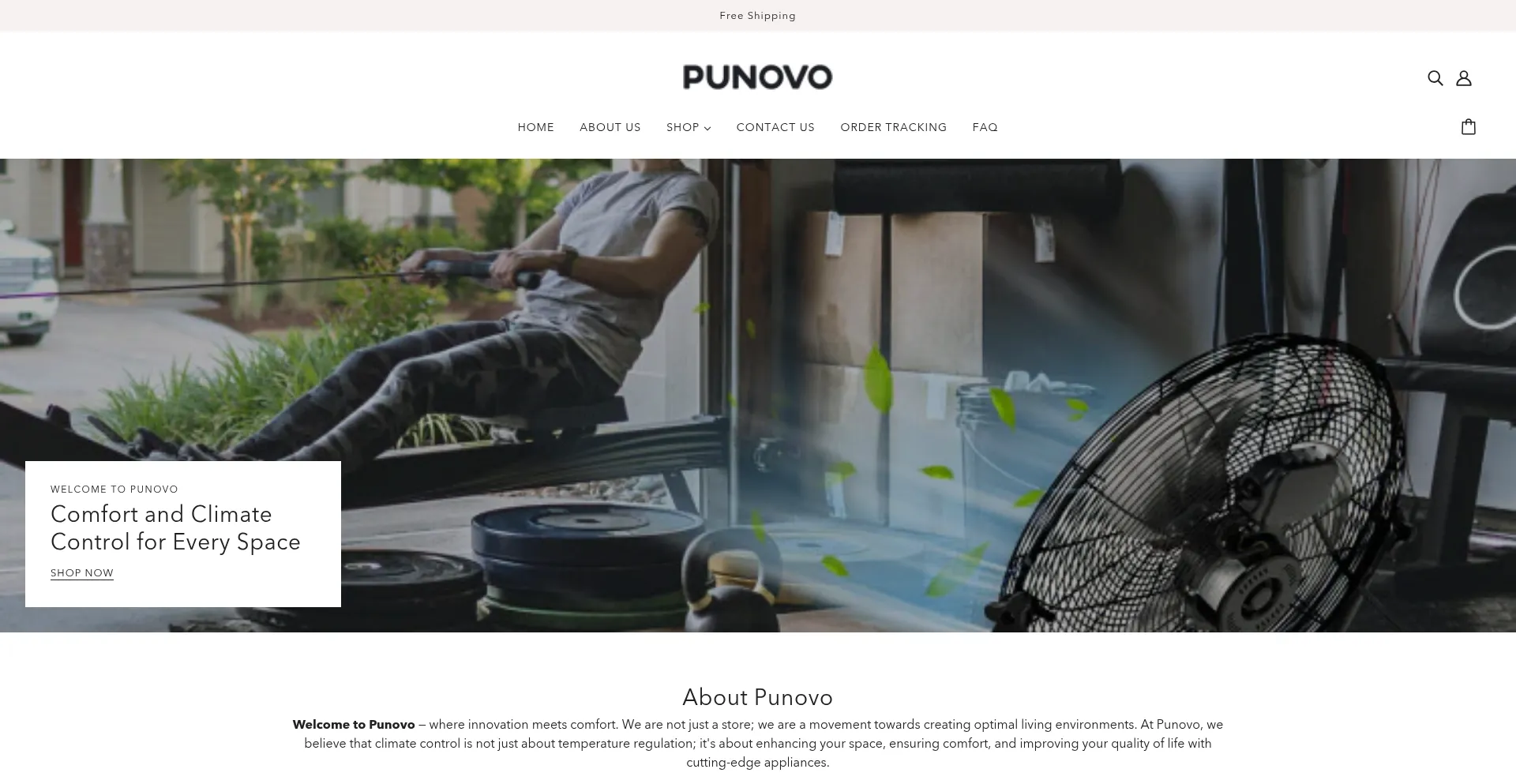 Website screenshot of Punovo.com
