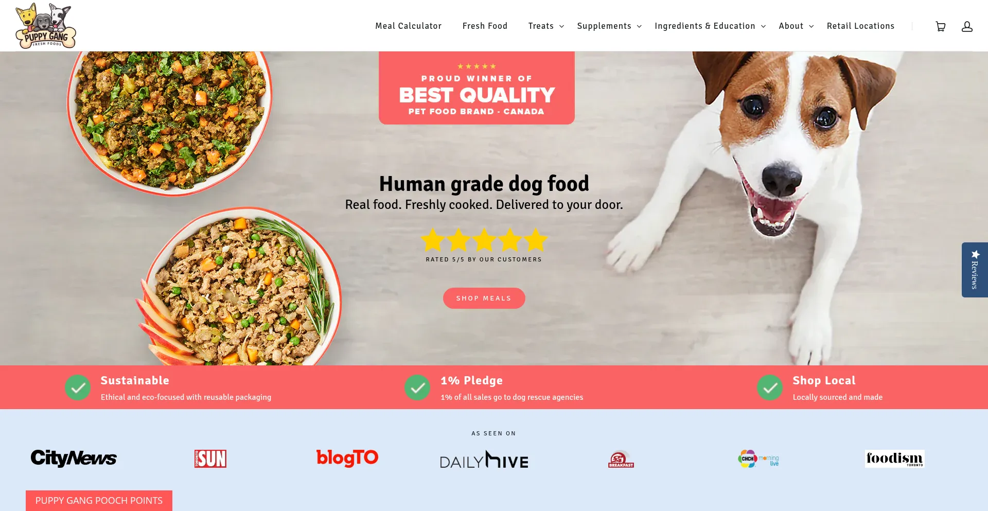 Puppygangfreshfoods.com