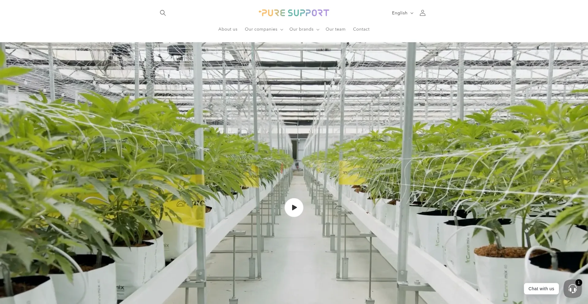 Website screenshot of Puresupport.eu