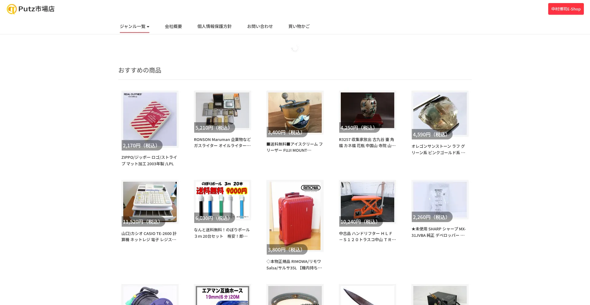 Website screenshot of Putz.theoice.store