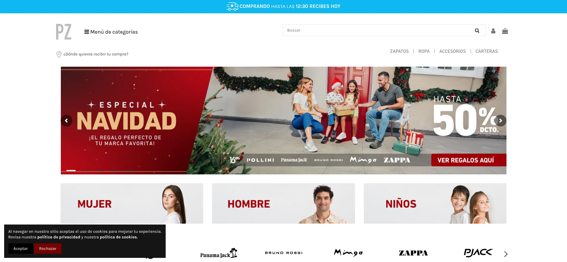 Website screenshot of Pz.cl