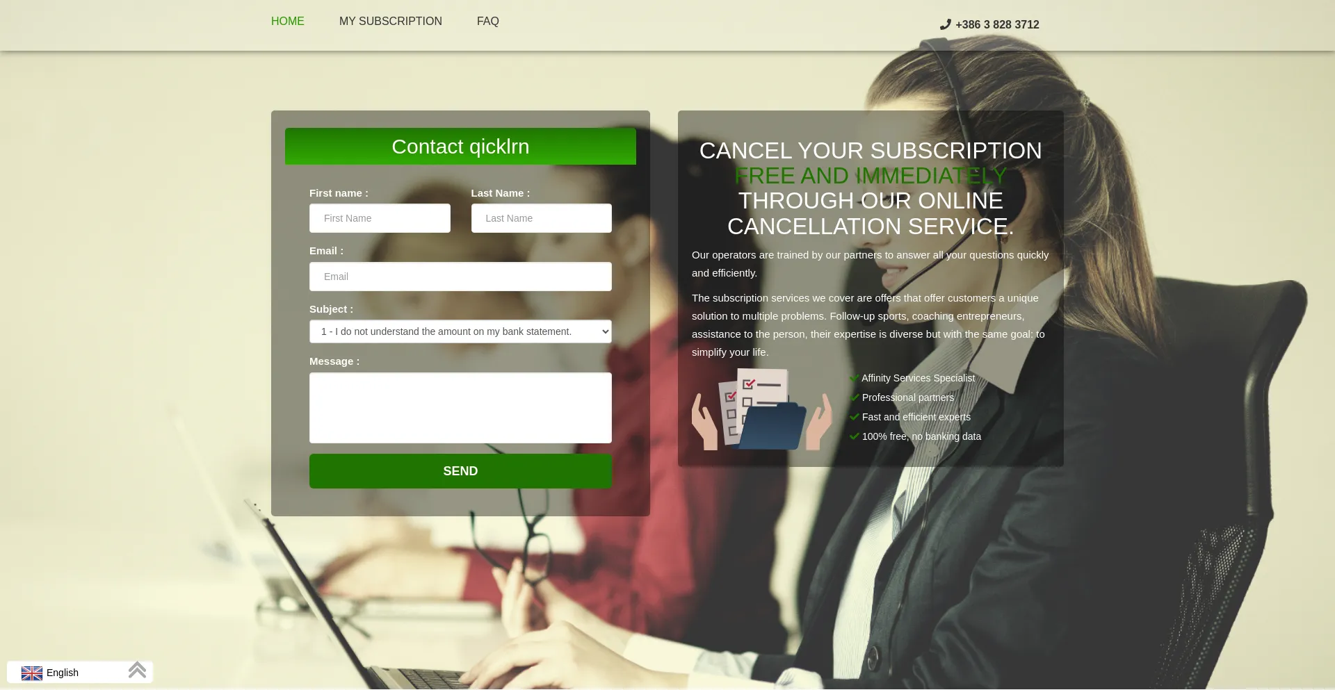 Website screenshot of Qicklrn.com