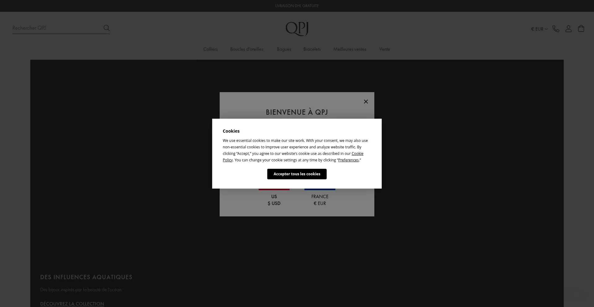 Website screenshot of Qpj.fr
