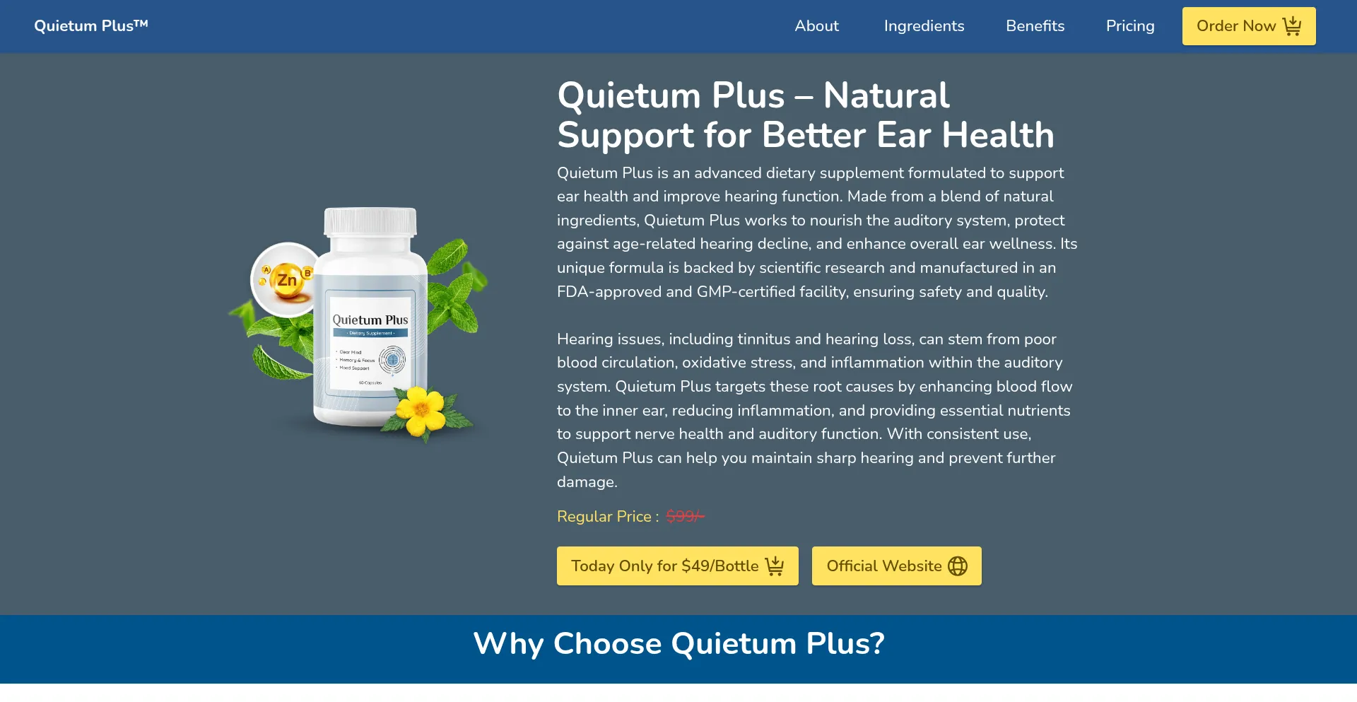 Website screenshot of Quietumpluss-official.com