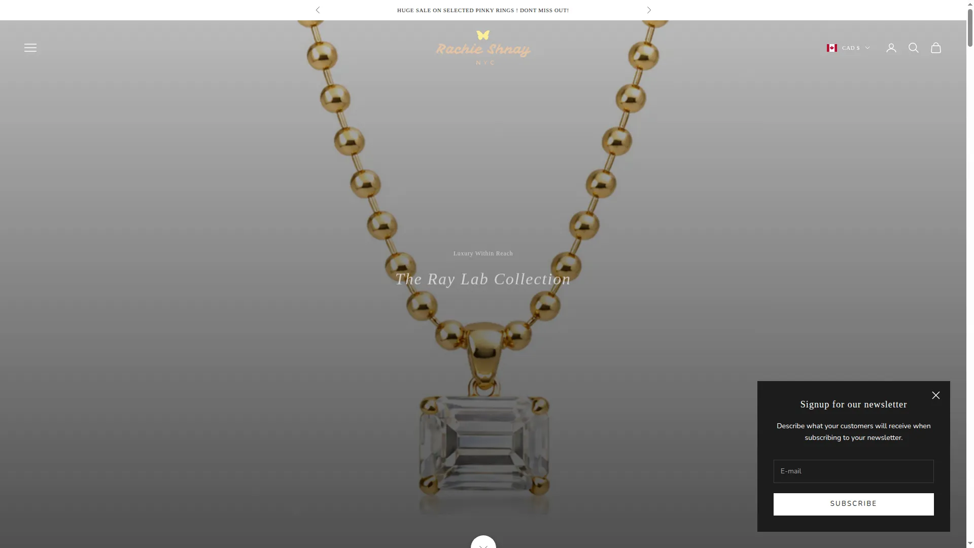 Rachieshnay.com