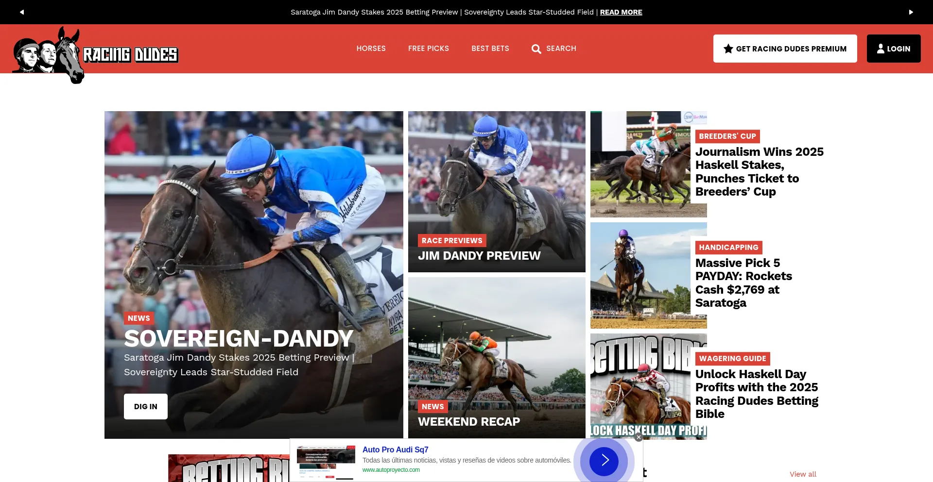Website screenshot of Racingdudes.com