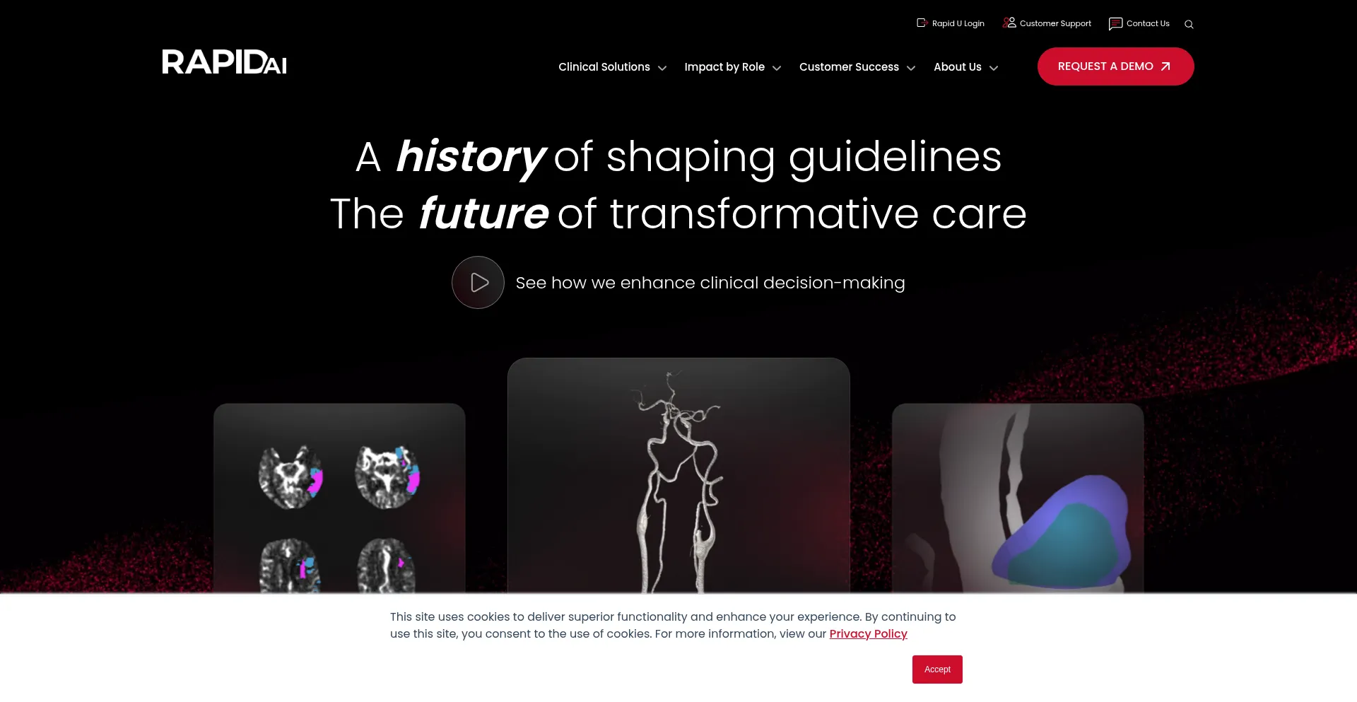 Website screenshot of Rapidai.com
