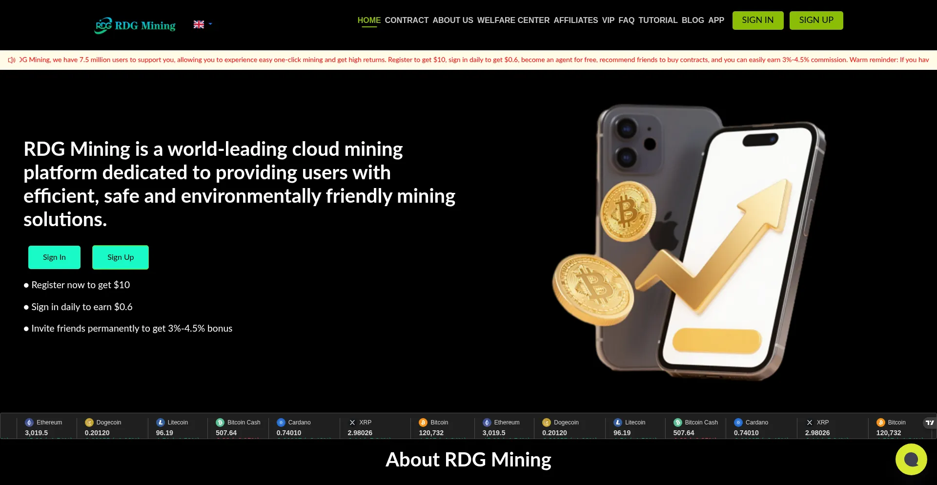 Website screenshot of Rdgmining.com