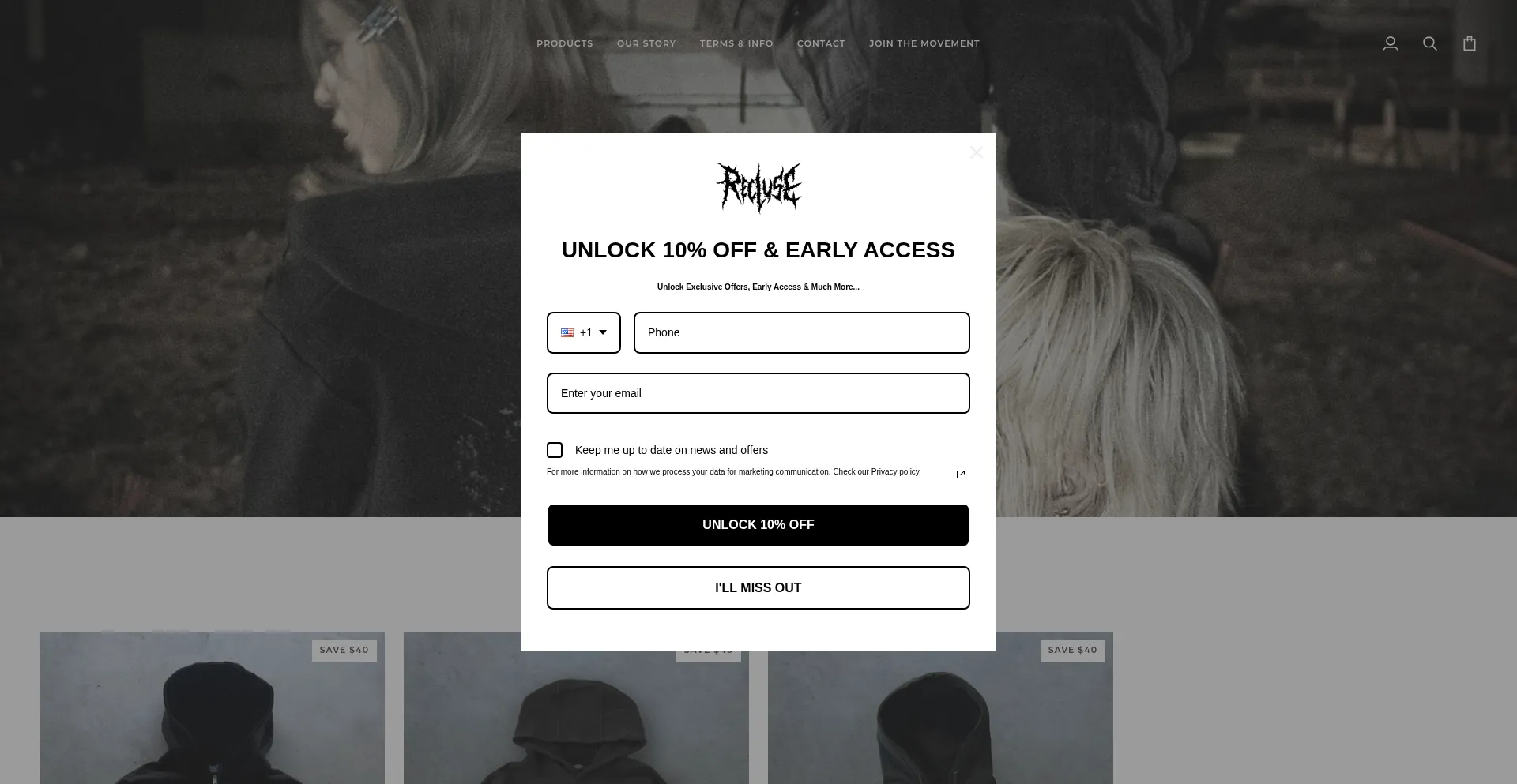 Website screenshot of Recluseofficial.com