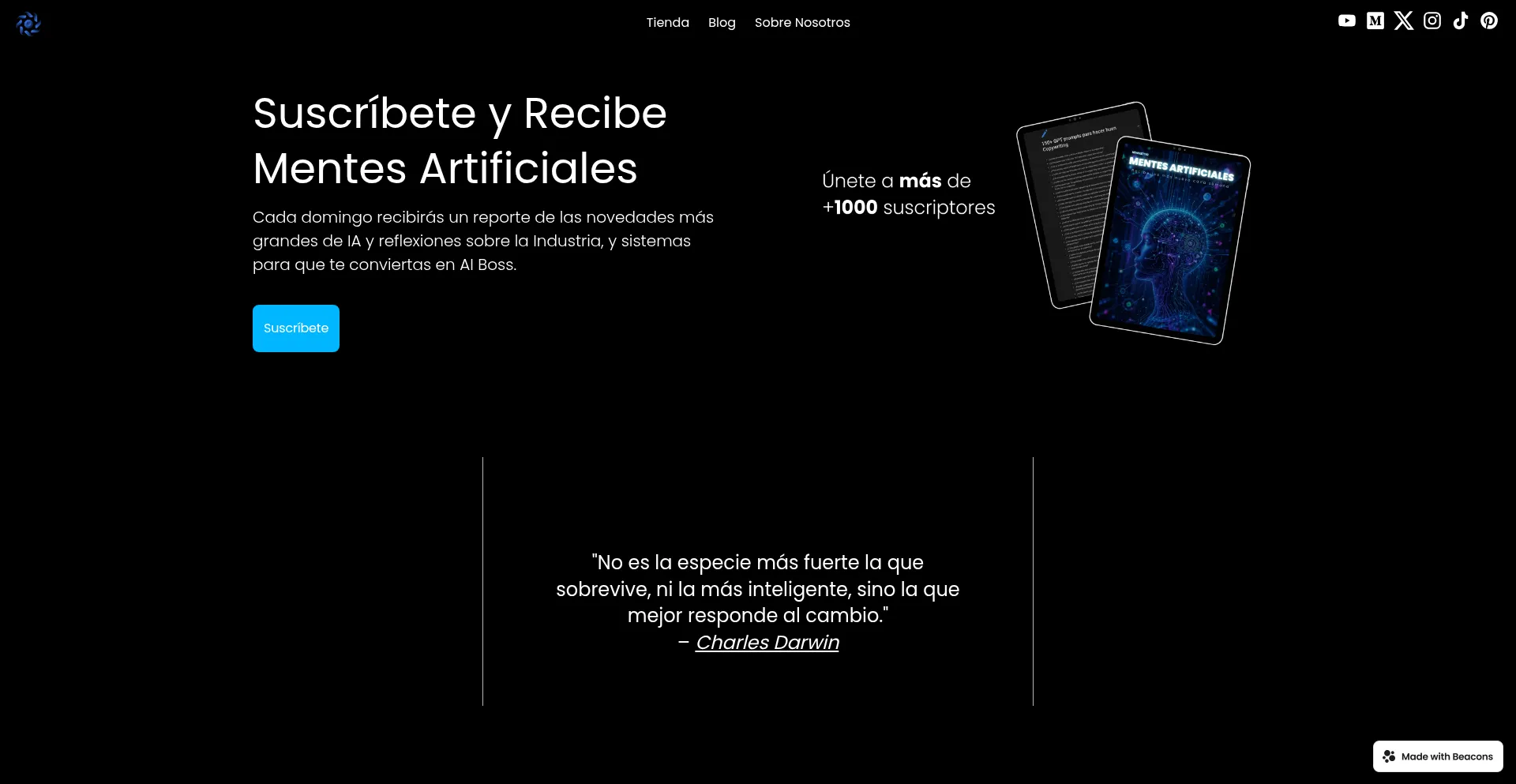 Website screenshot of Reddigitalai.com