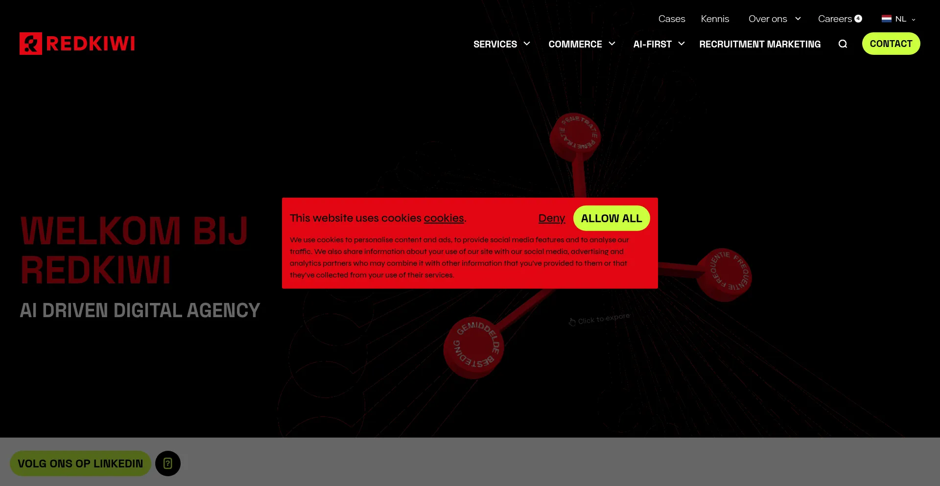 Website screenshot of Redkiwi.nl