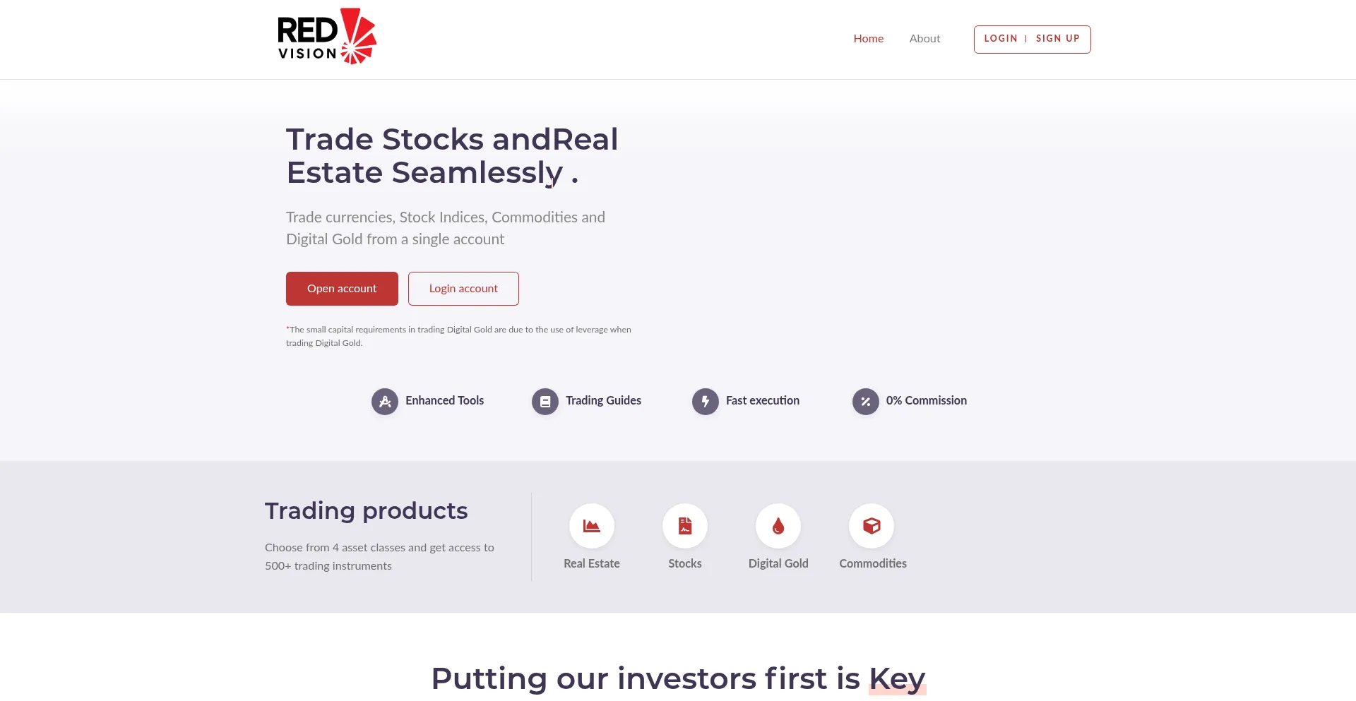 Website screenshot of Redrevenueaid.com
