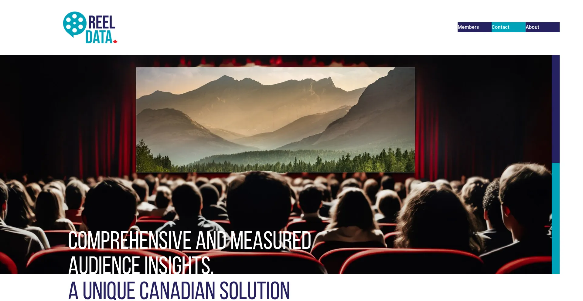 Website screenshot of Reeldatainc.com