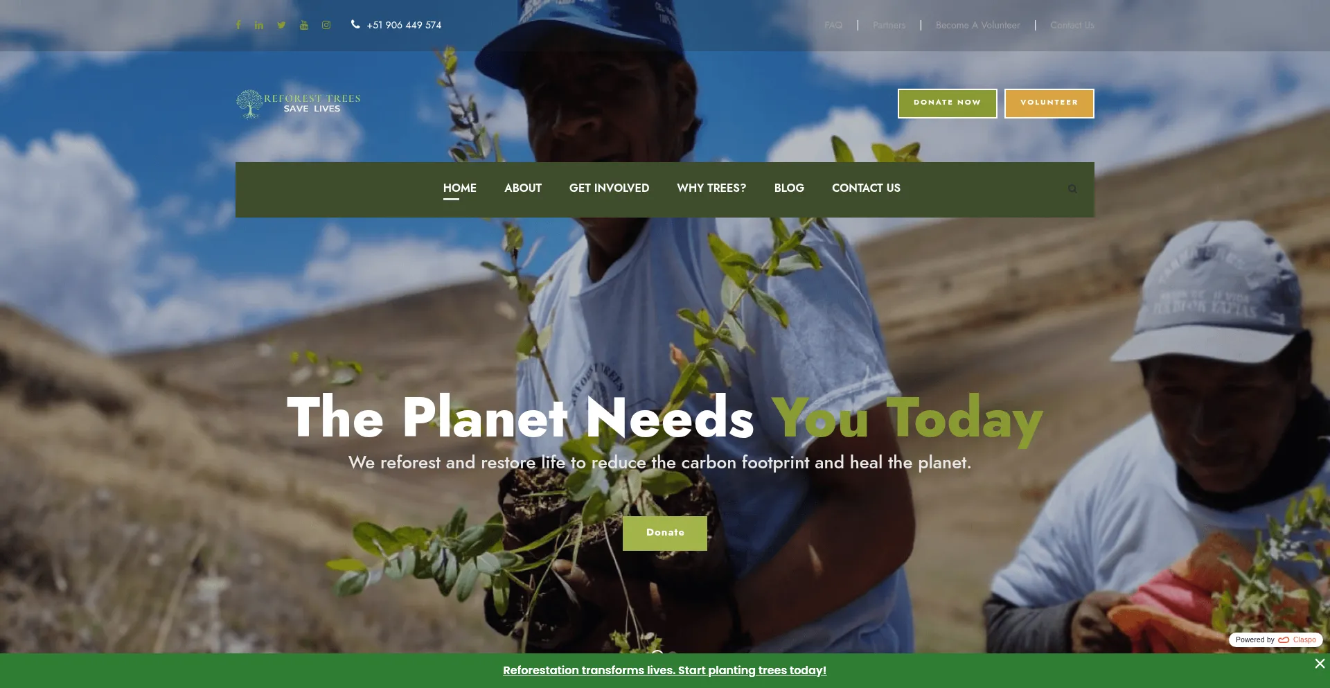 ¿És Seguro y Confiable Reforestrees.org?