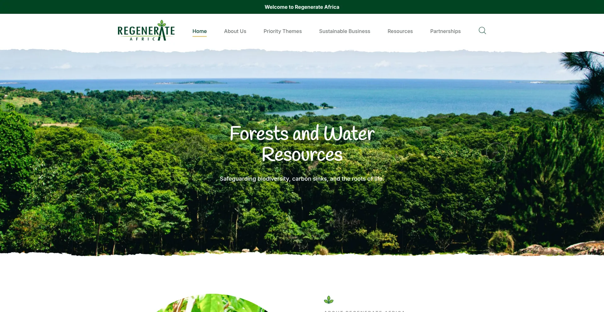 Regenerateafrica.org
