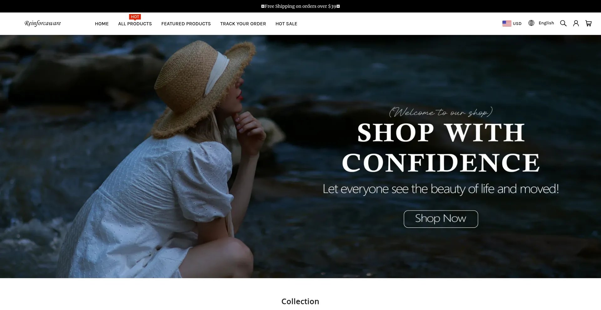 Website screenshot of Reinforcaware.com