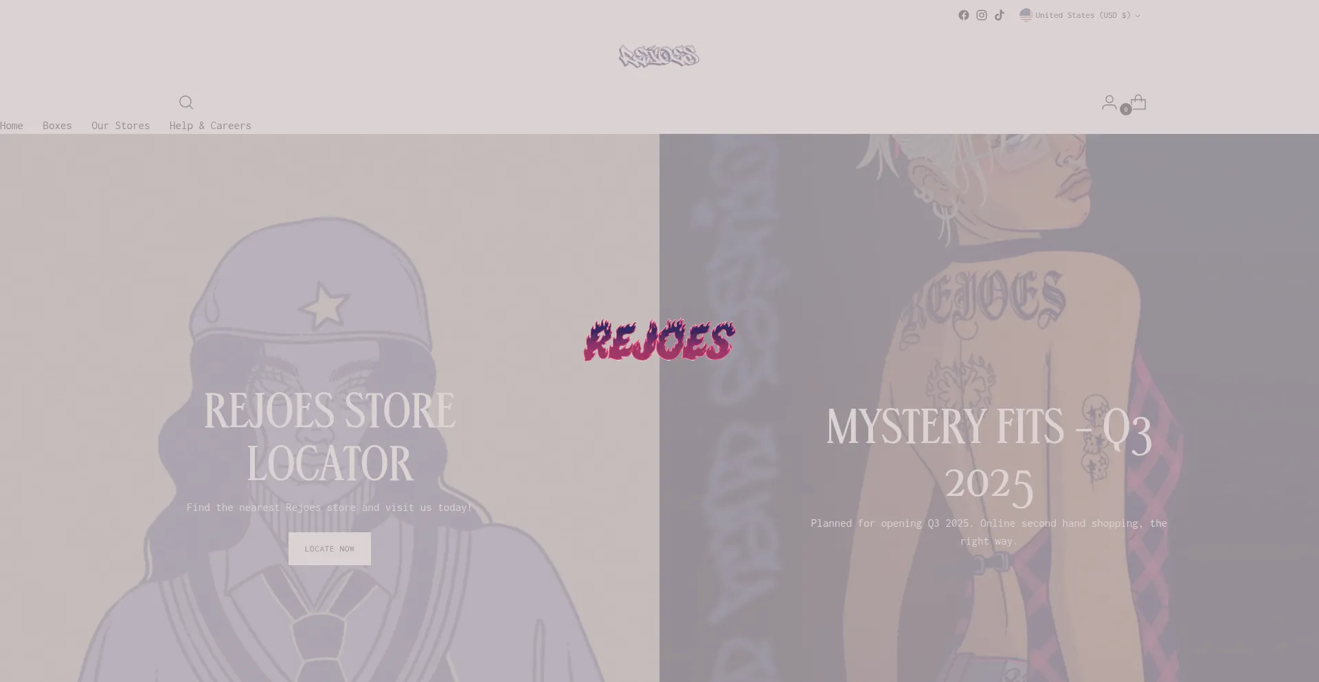 Website screenshot of Rejoes.com
