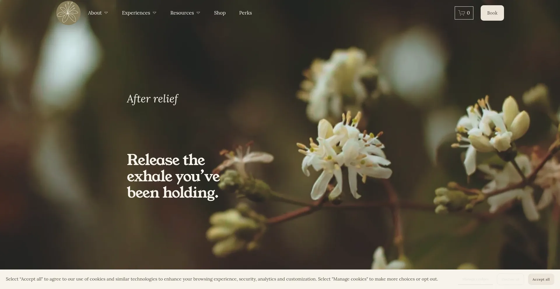 Reliefmassagemethod.com