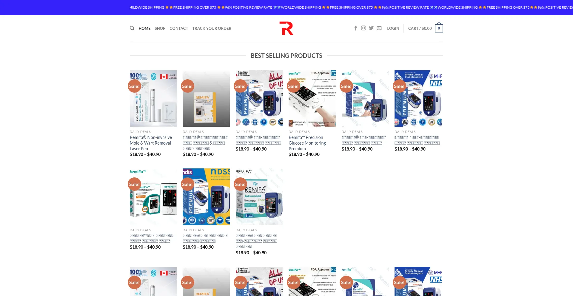 Website screenshot of Remifa-1.com