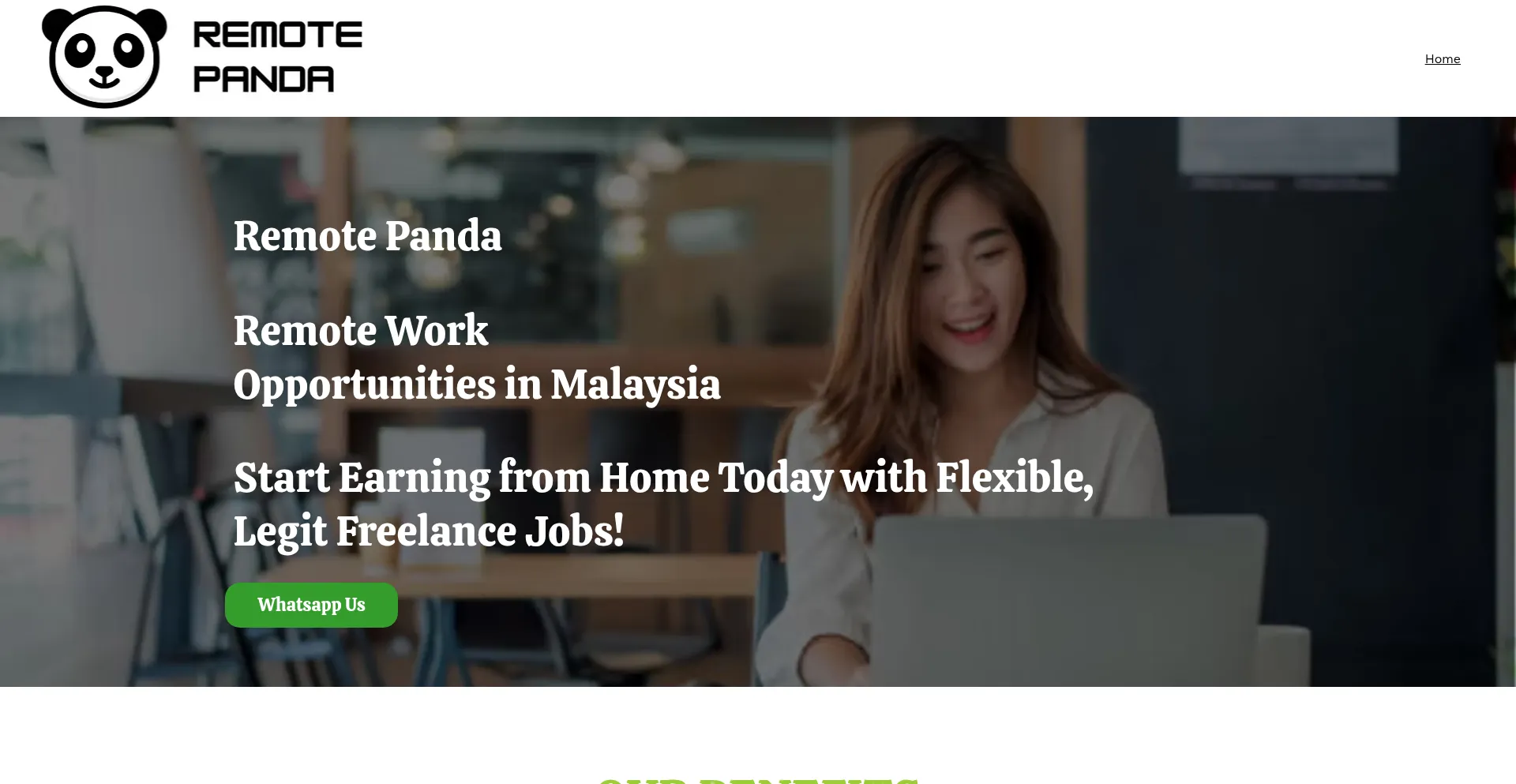 Website screenshot of Remote-panda.com