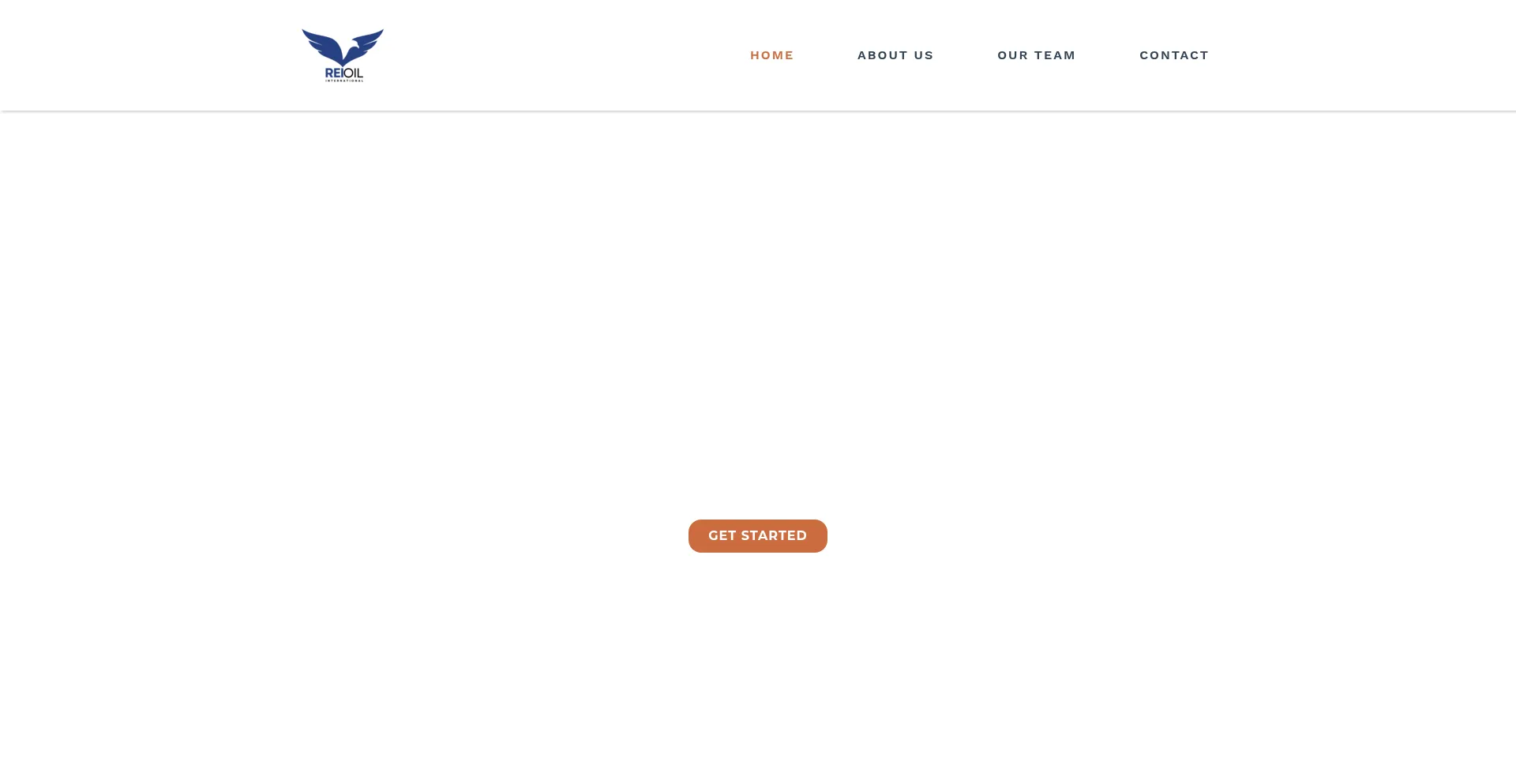 Website screenshot of Renergy-int.com