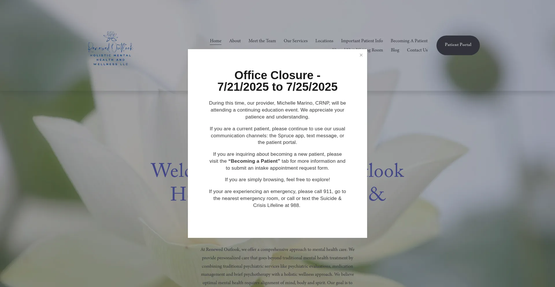 Website screenshot of Renewedoutlookhmh.com