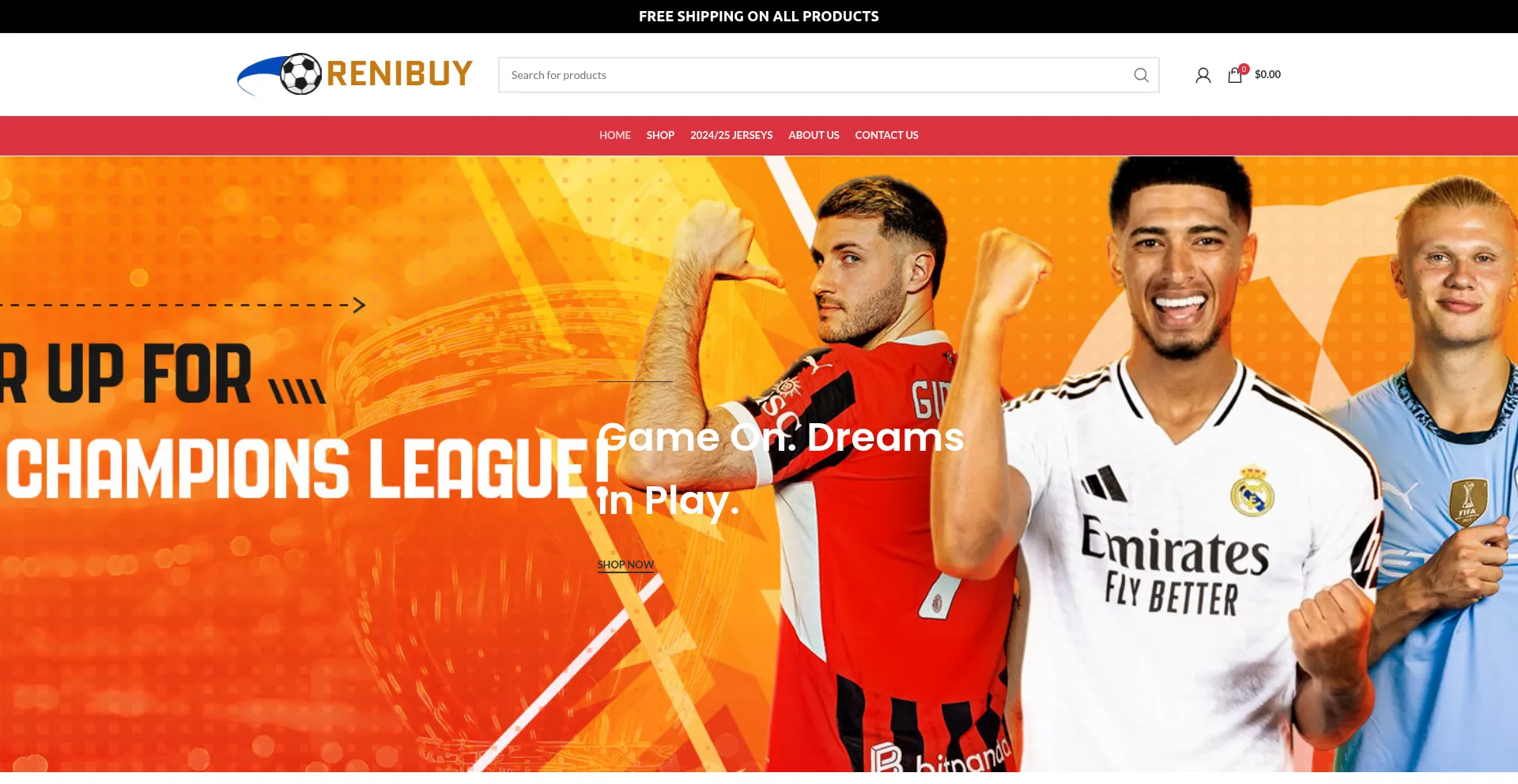 Website screenshot of Renibuy.com