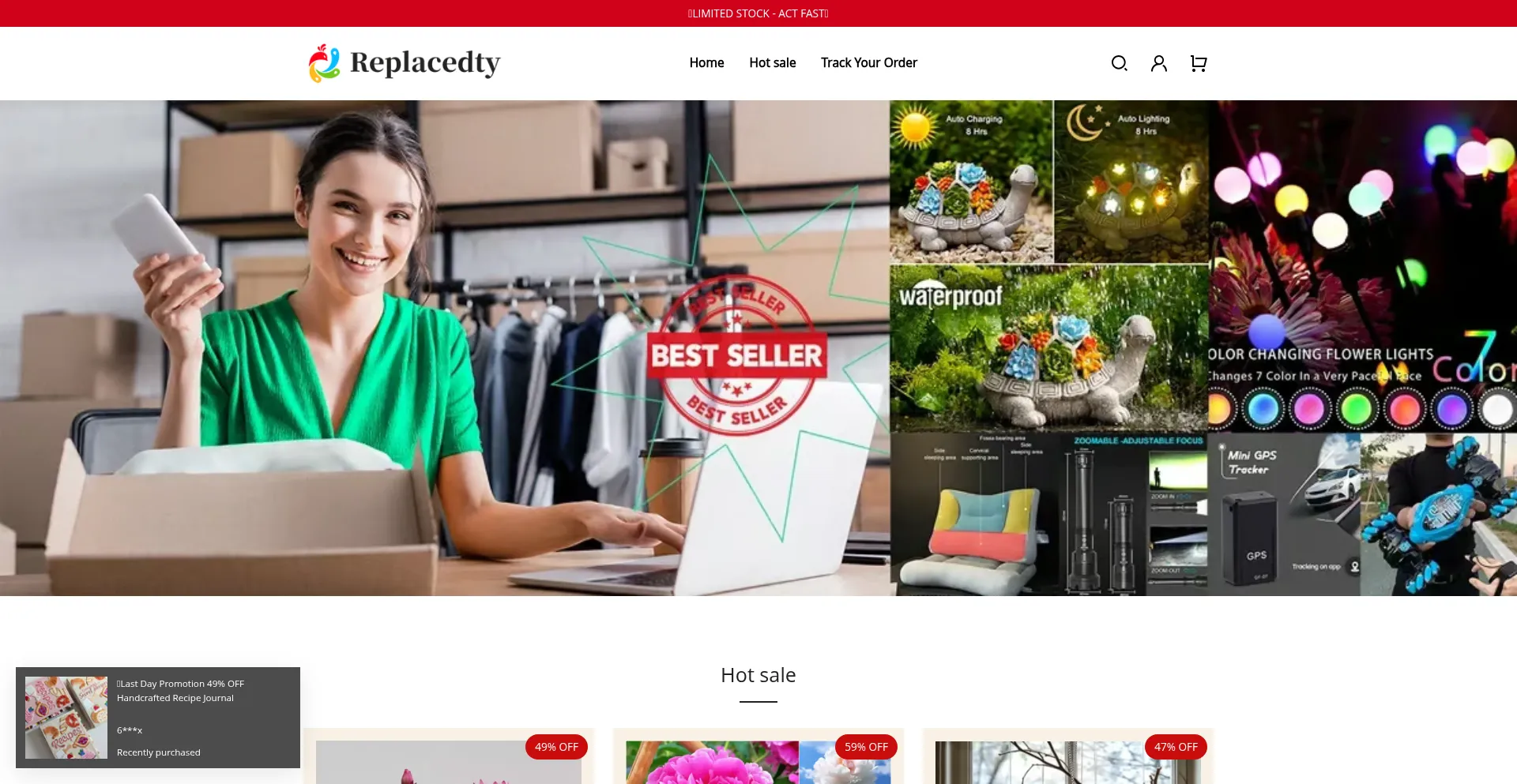 Website screenshot of Replacedty.com