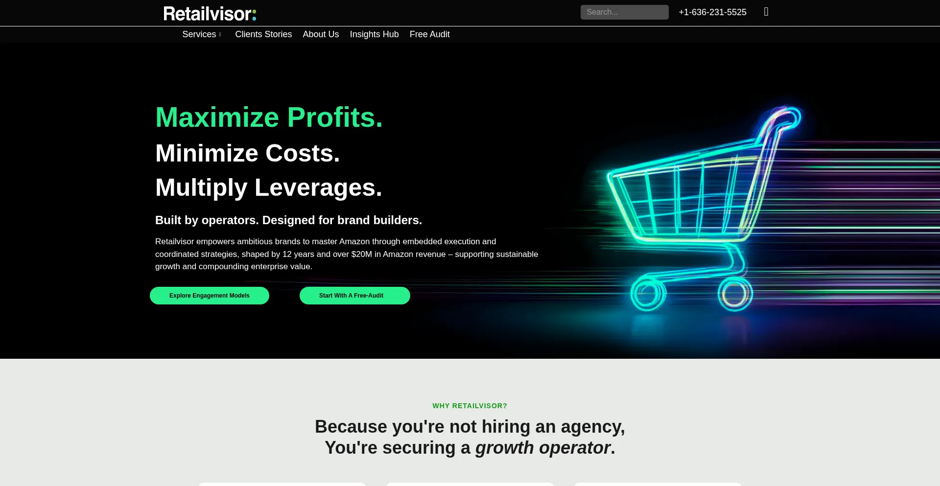 Website screenshot of Retailvisor.com
