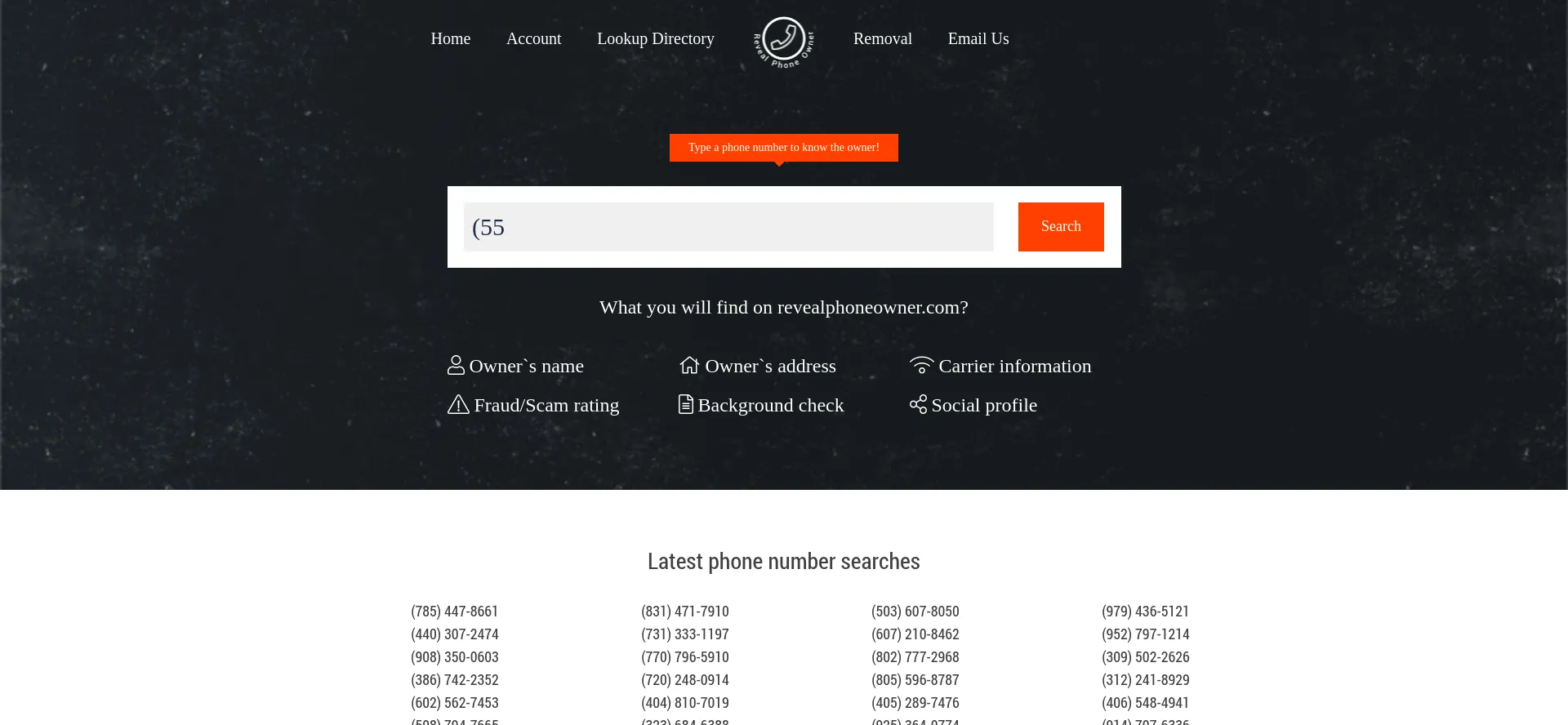 Website screenshot of Revealphoneowner.com