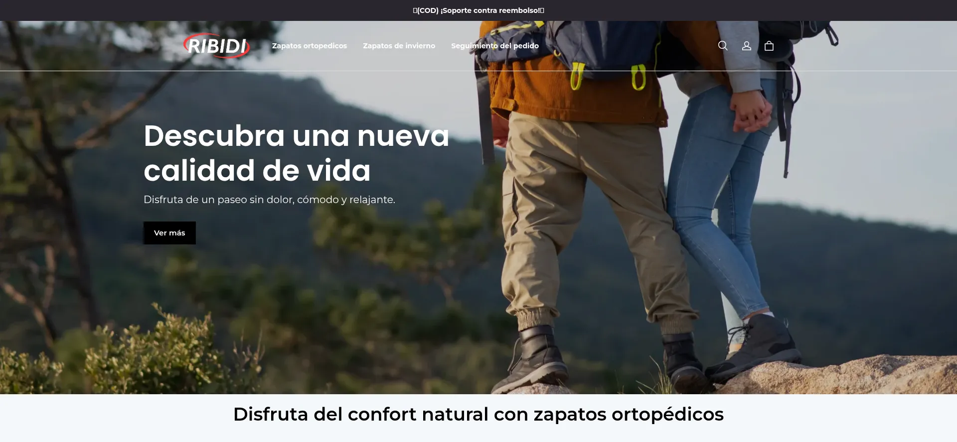 Website screenshot of Ribidi.com