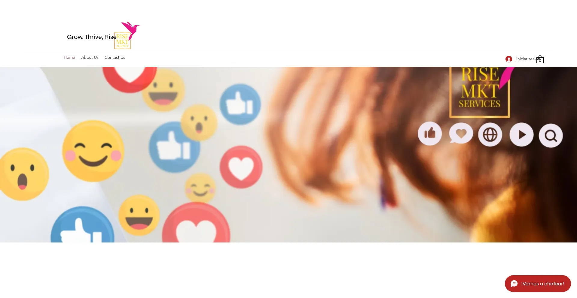 Website screenshot of Risemkt.com