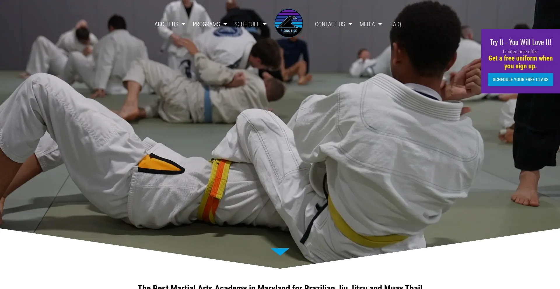 ¿És Seguro y Confiable Risingtidemartialarts.us?