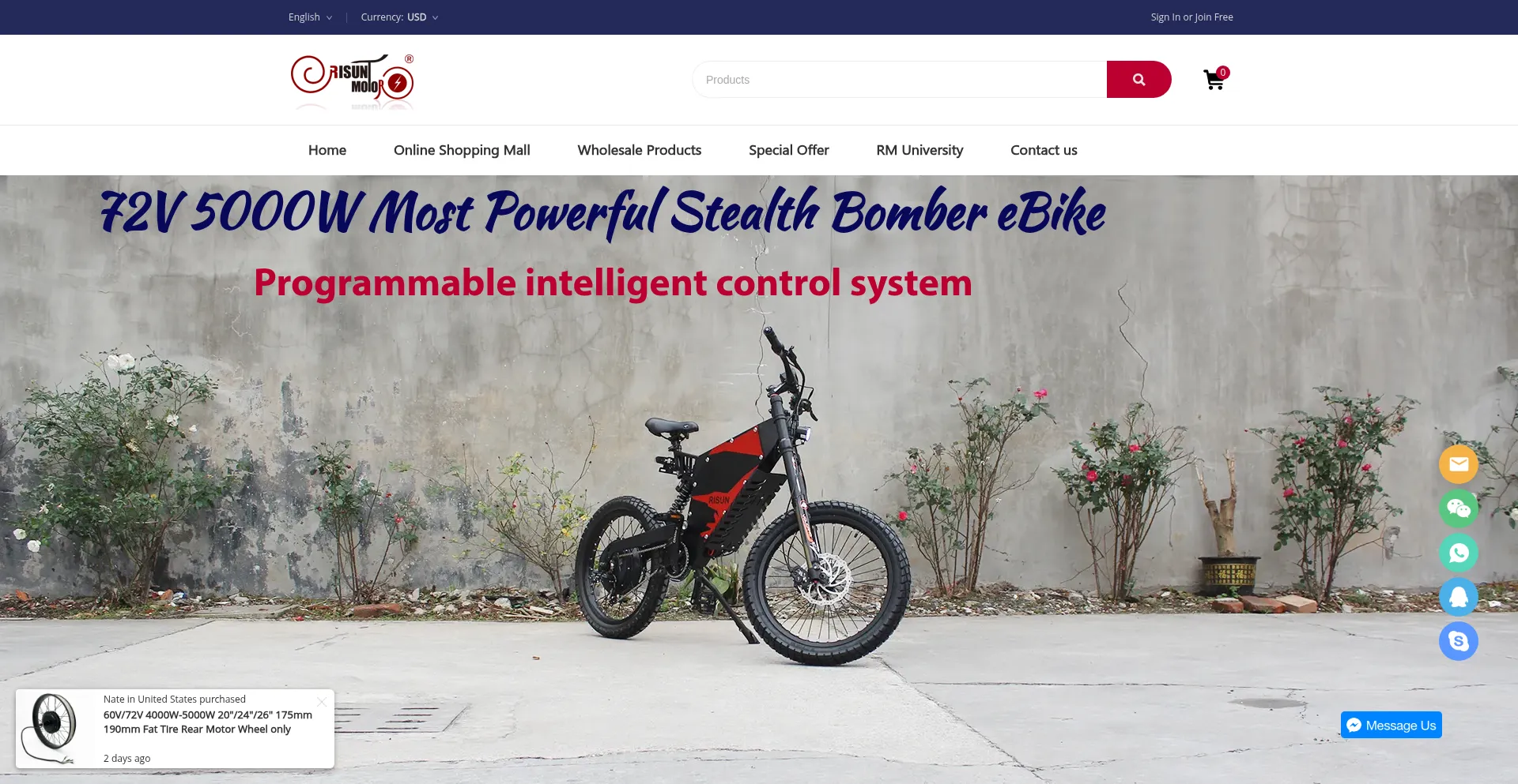 Website screenshot of Risunmotor.com