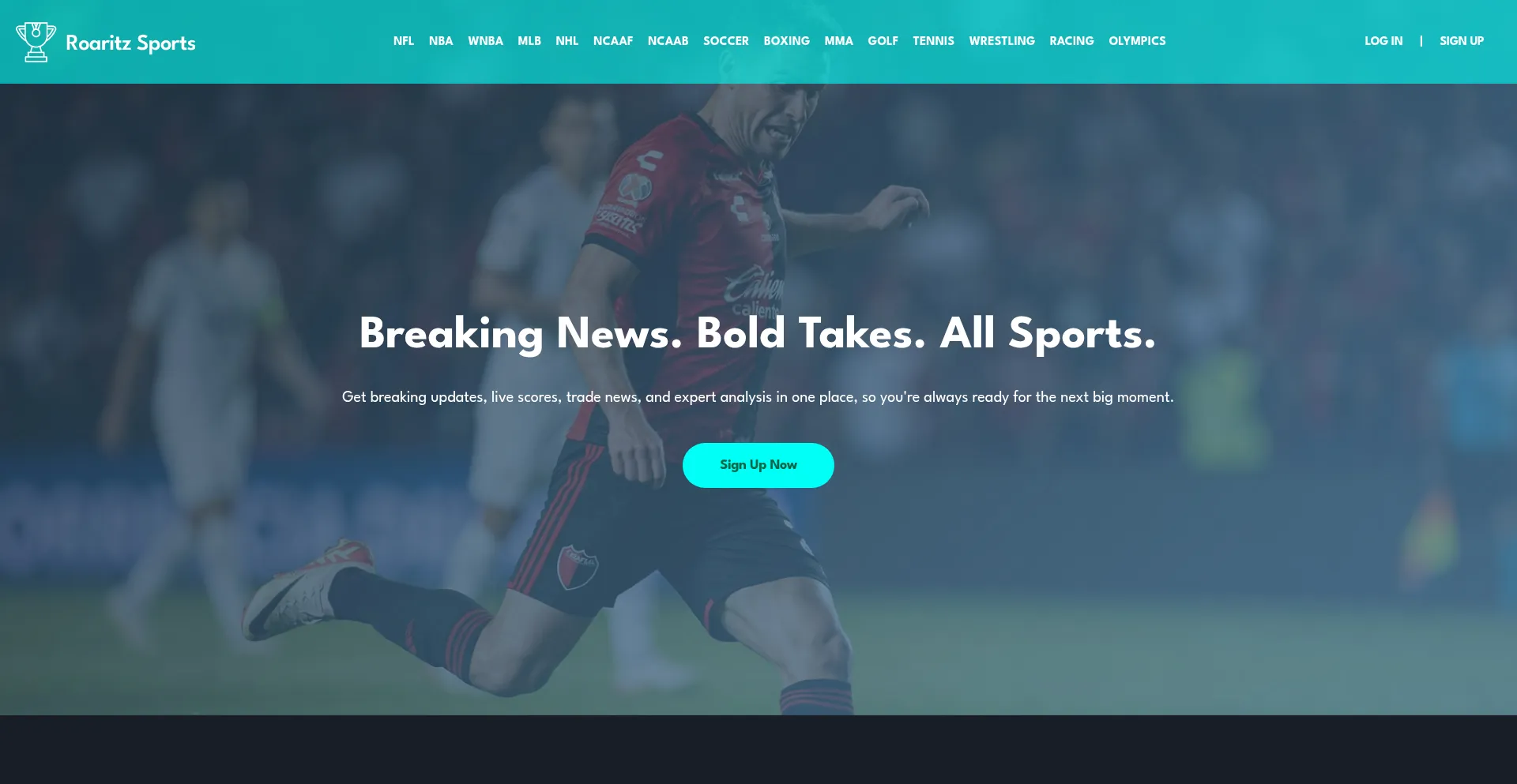 Roaritz.com