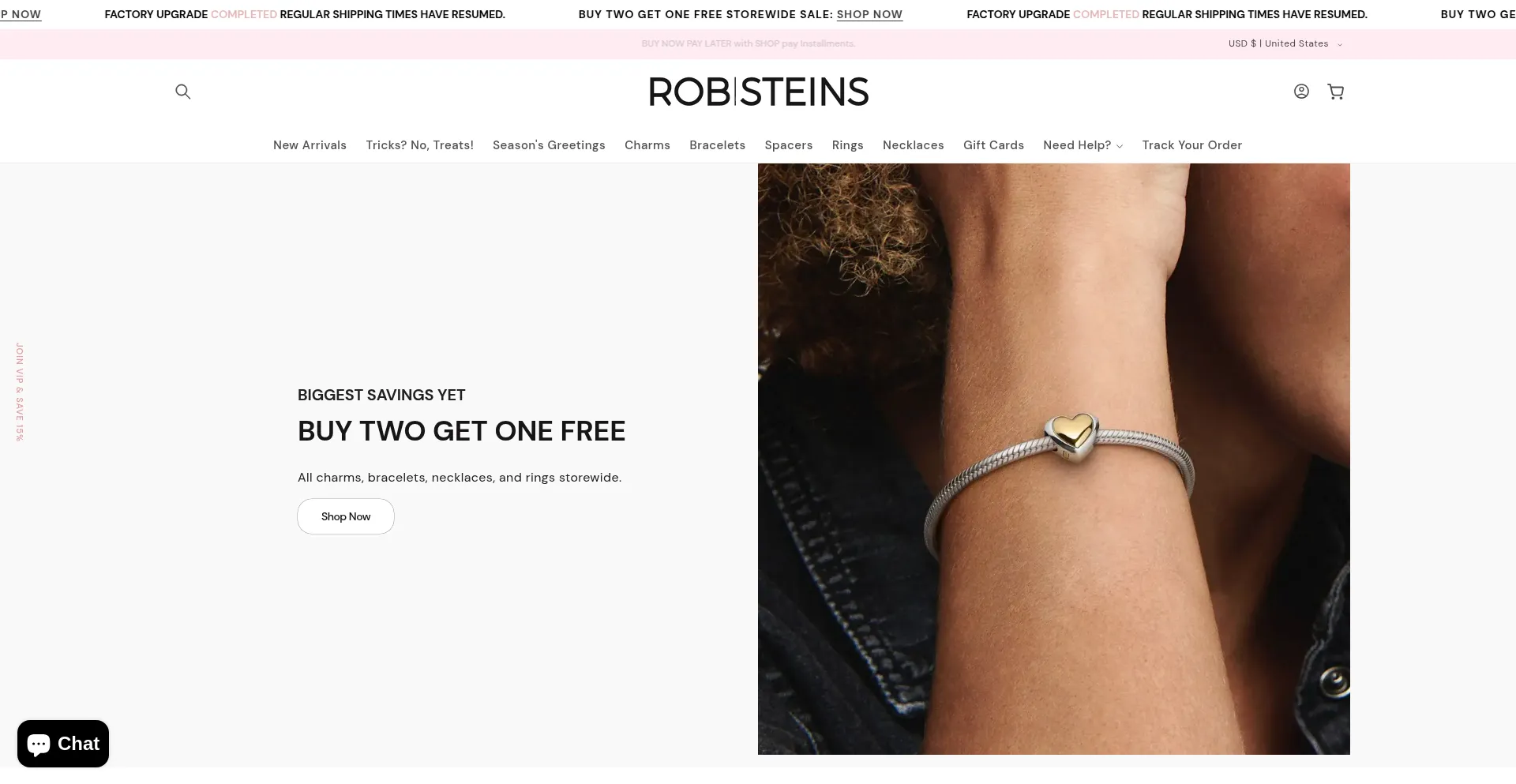 Website screenshot of Robsteins.com