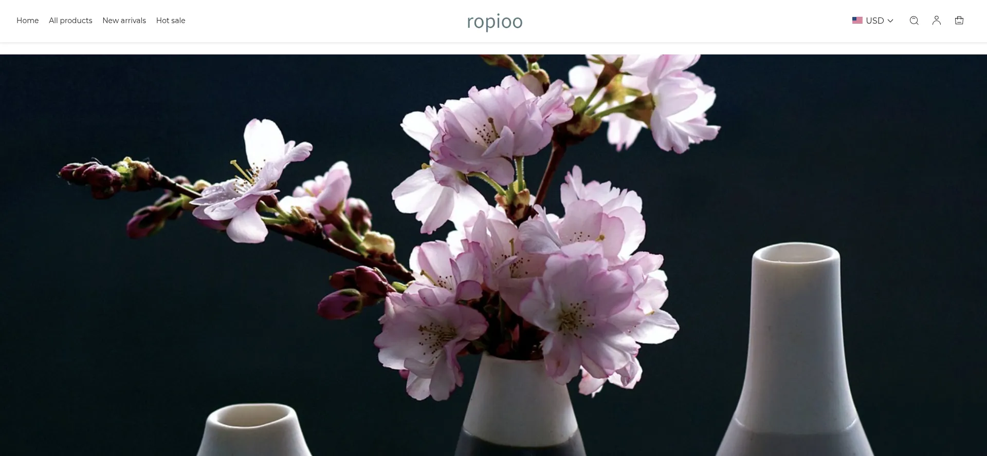 Ropioo.com